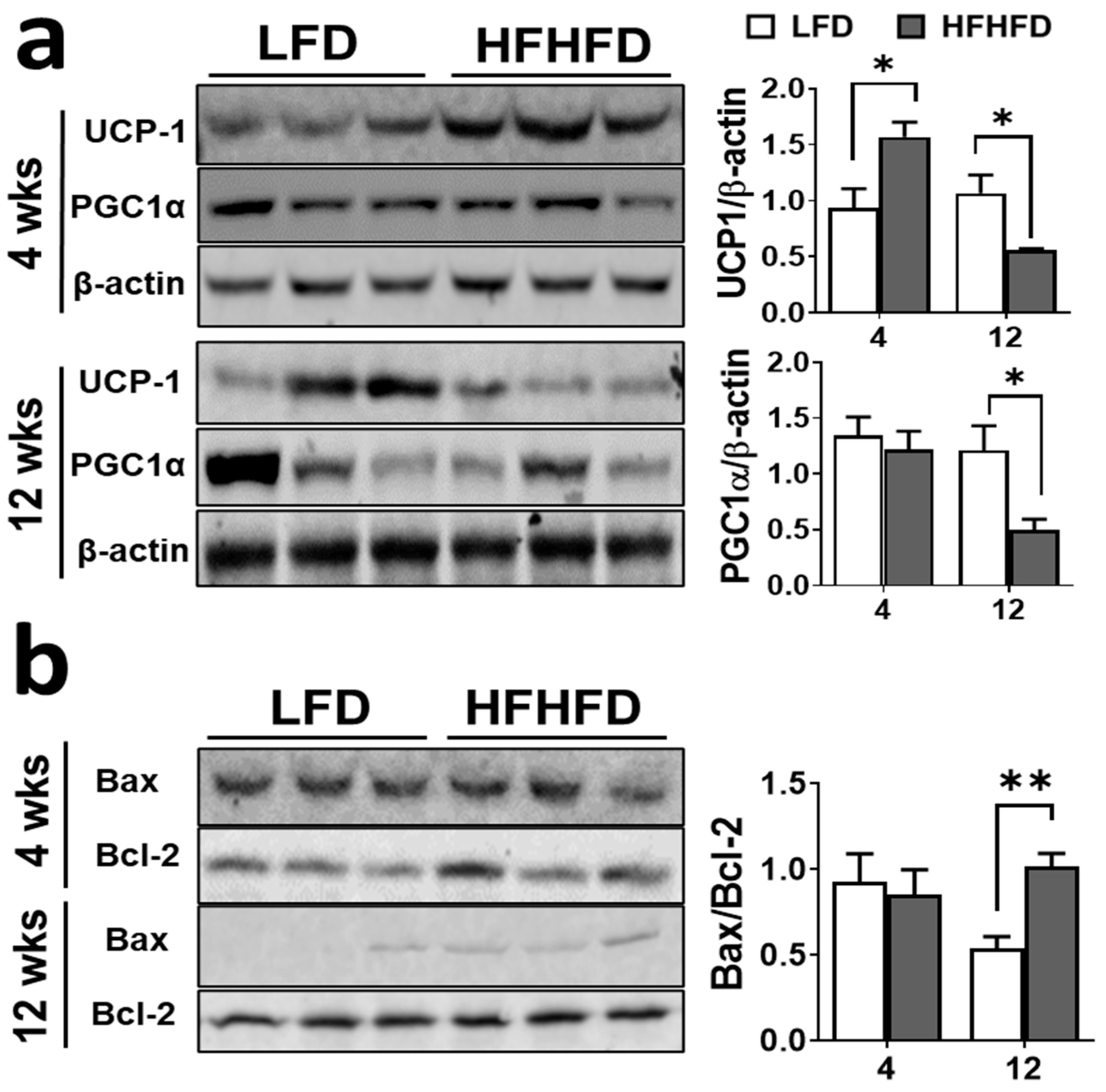 Obesities 04 00010 g002