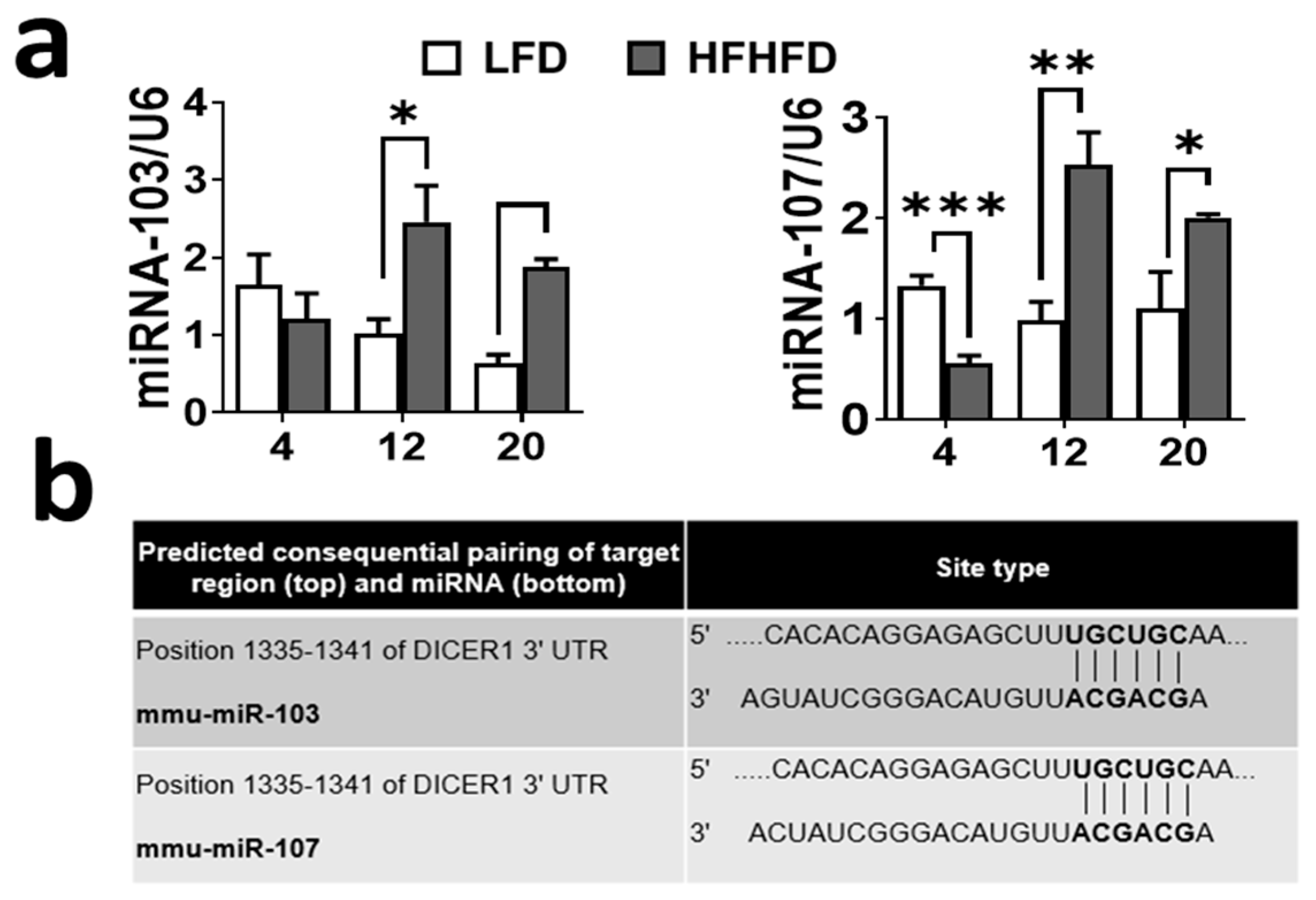 Obesities 04 00010 g003