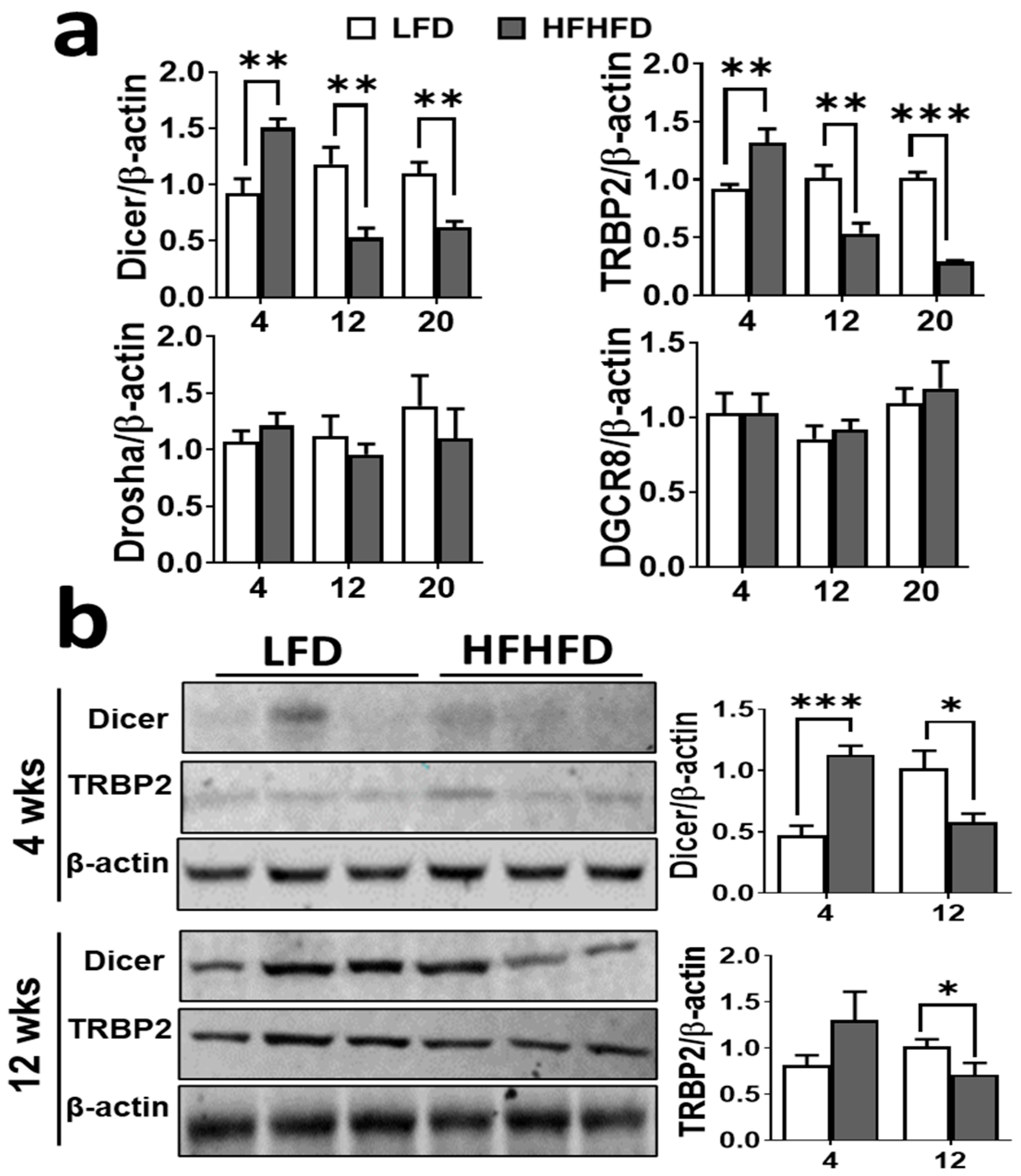 Obesities 04 00010 g004