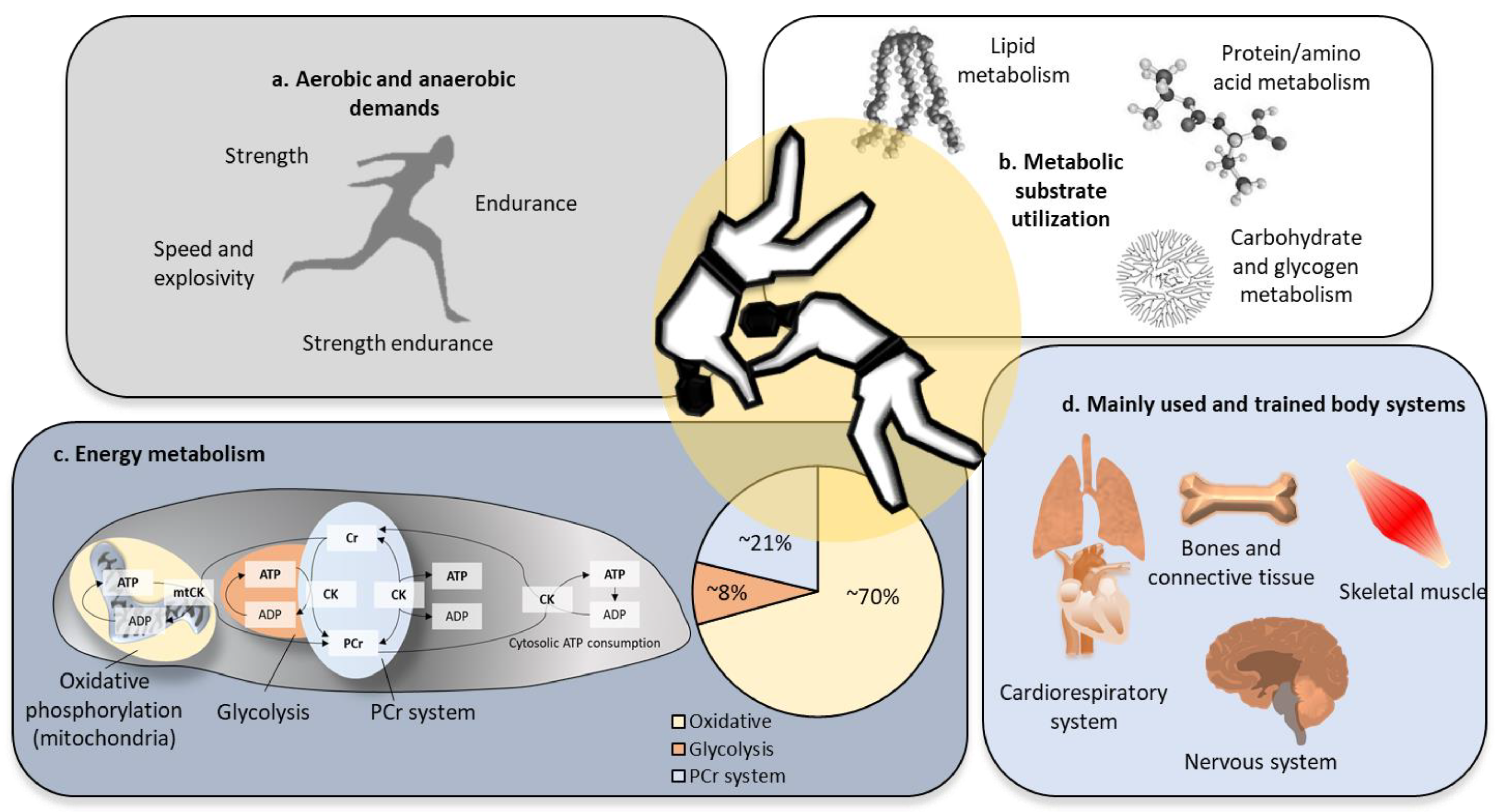 Obesities 04 00036 g001