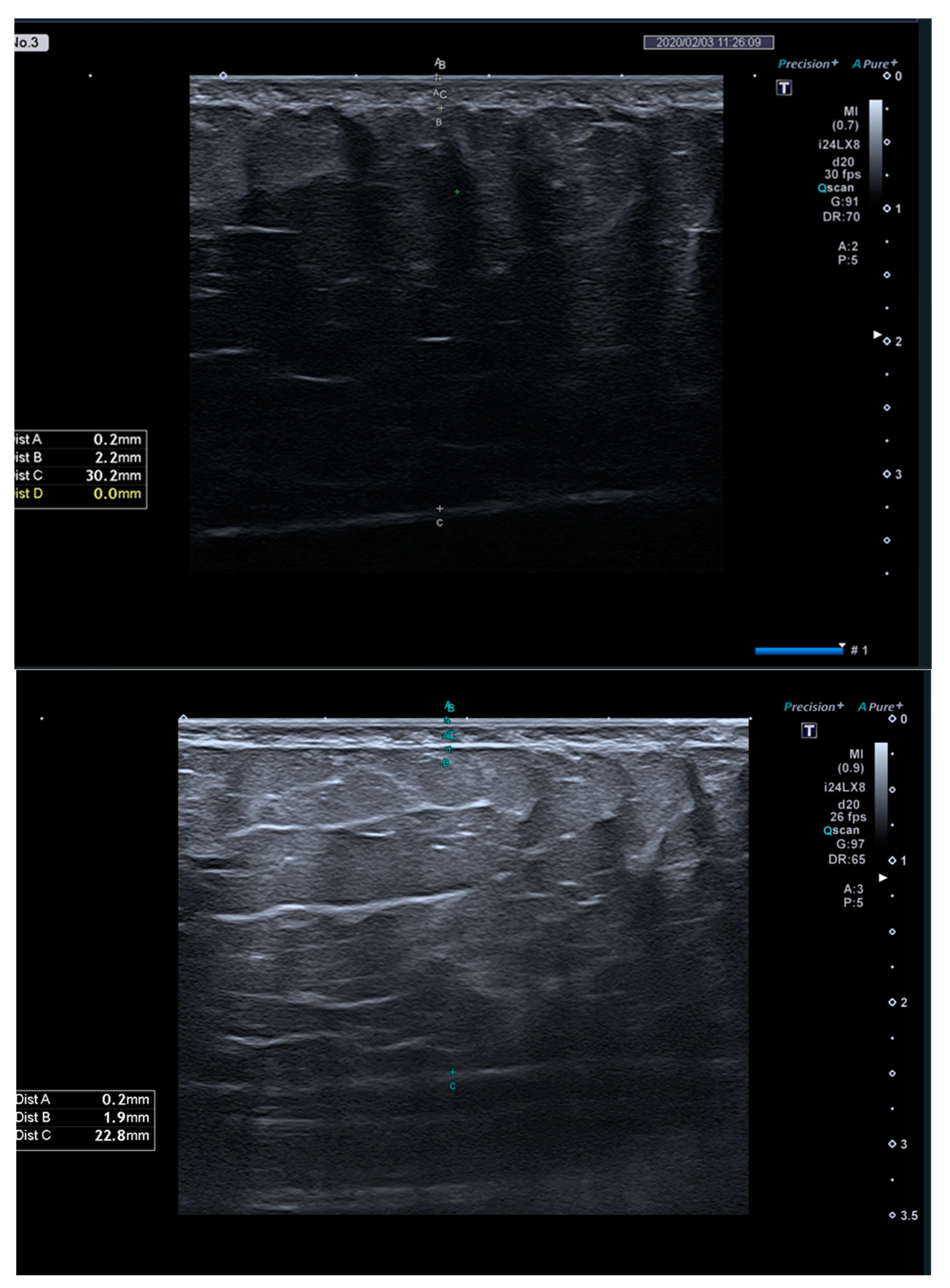 Obesities 05 00031 g001