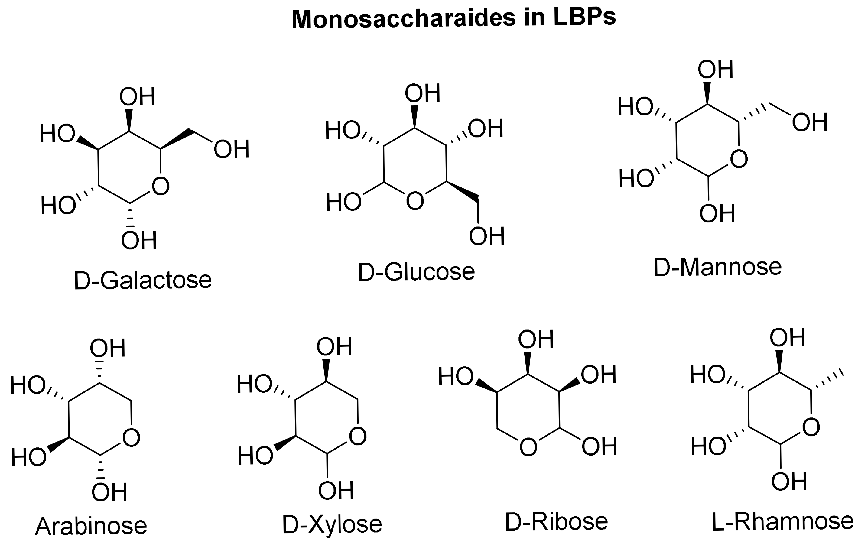 Obesities 05 00035 g002