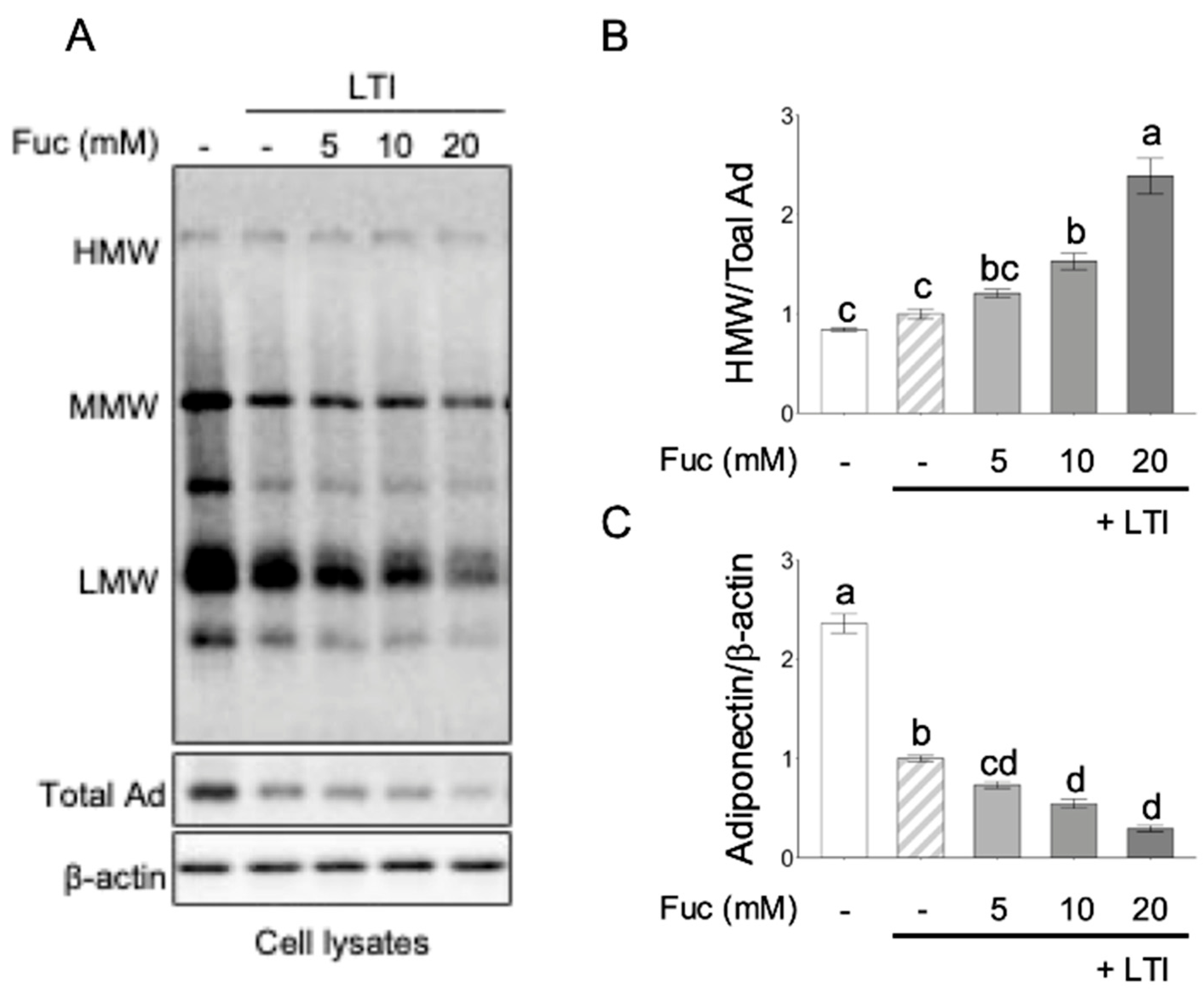 Obesities 05 00074 g005 Obesities 05 00074 g005