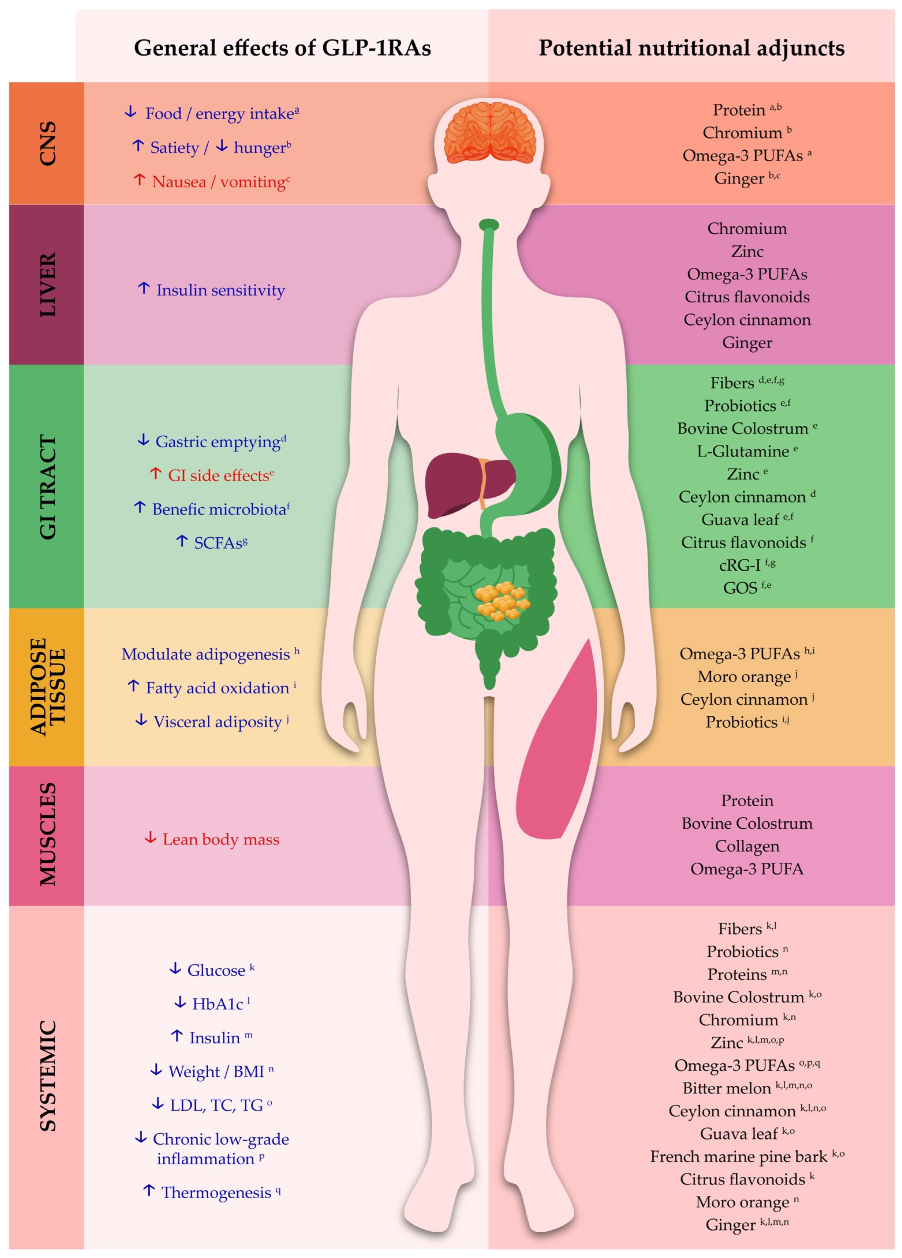 Obesities 05 00088 g001