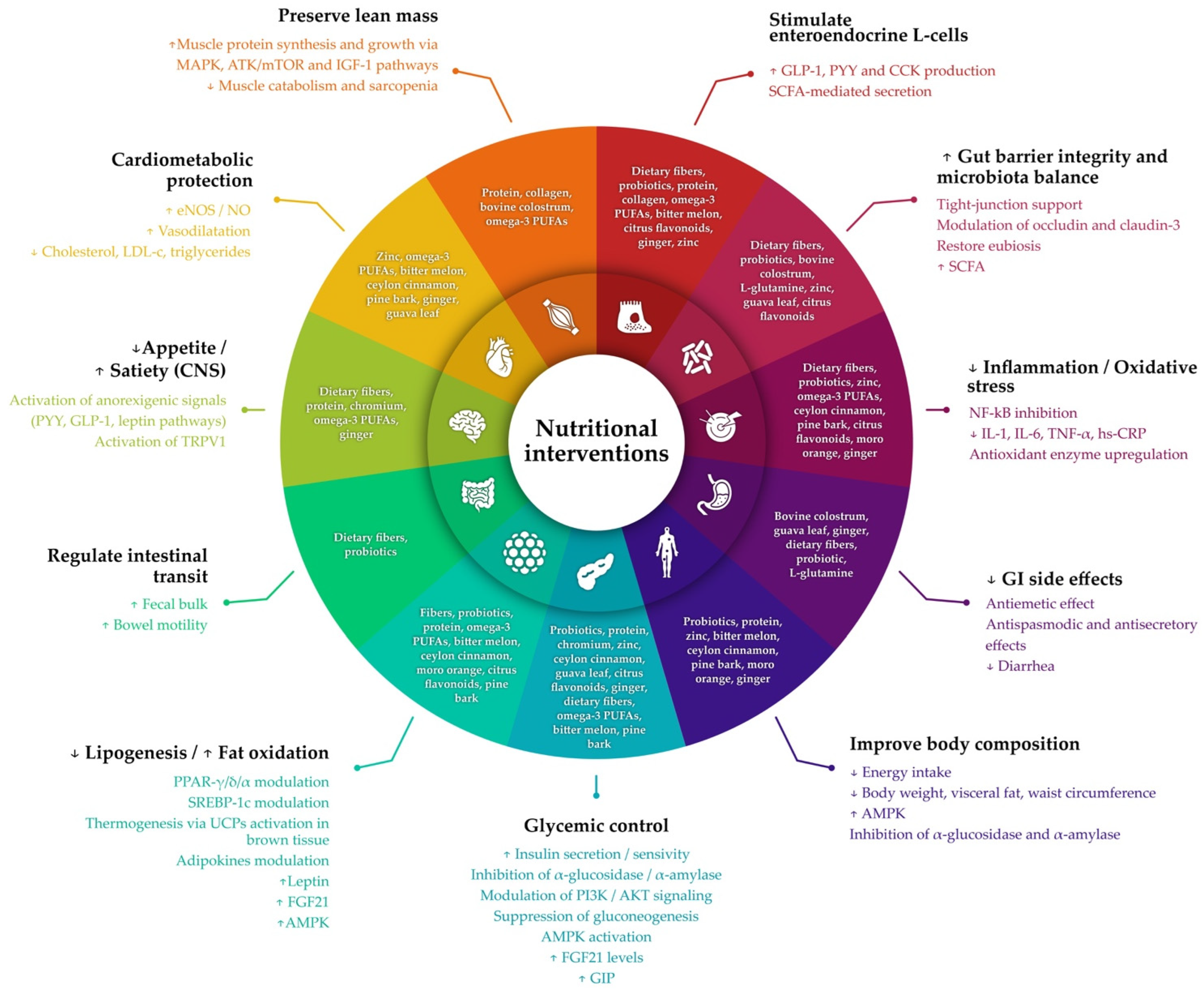 Obesities 05 00088 g002