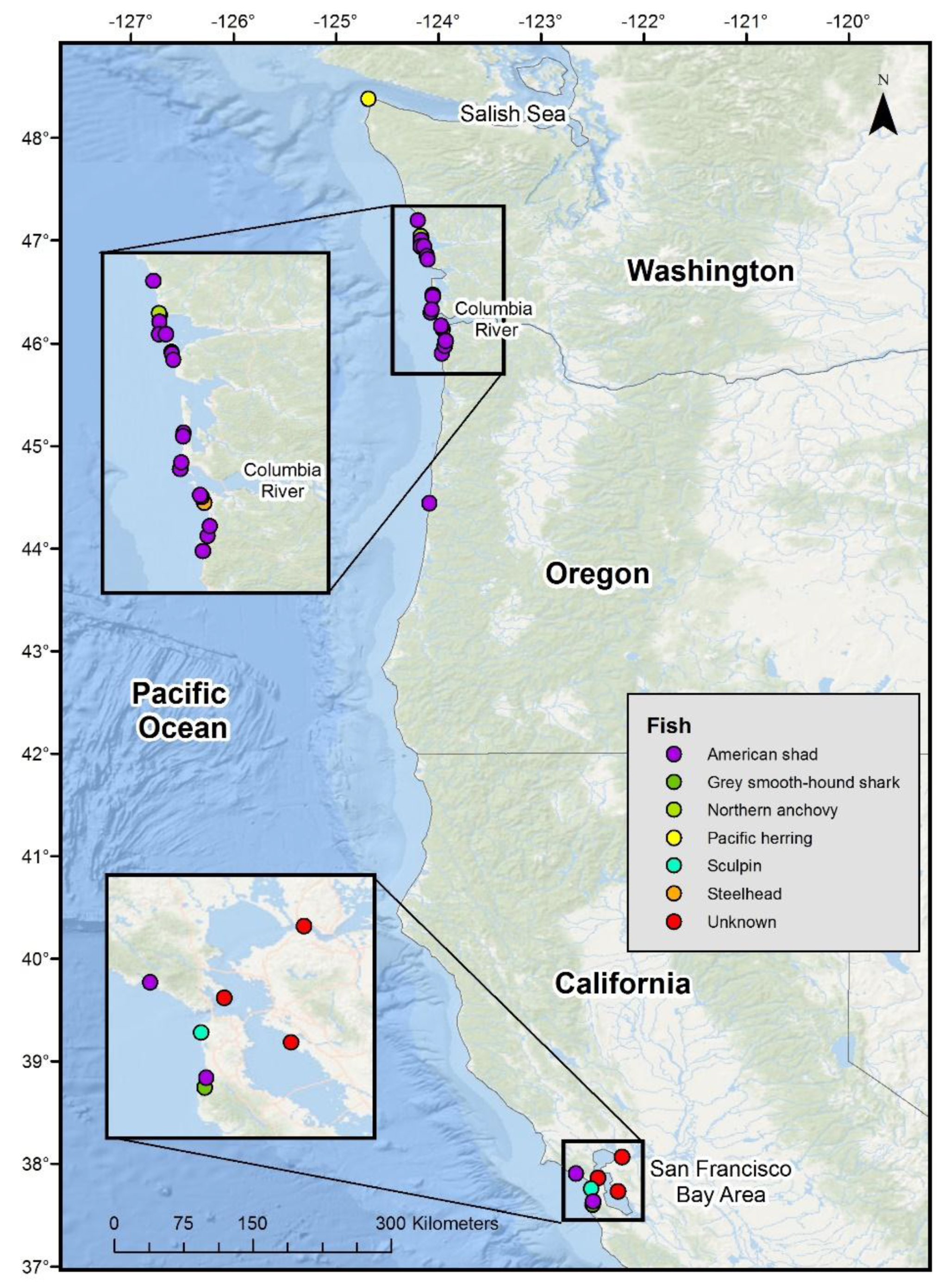 Oceans 01 00008 g001