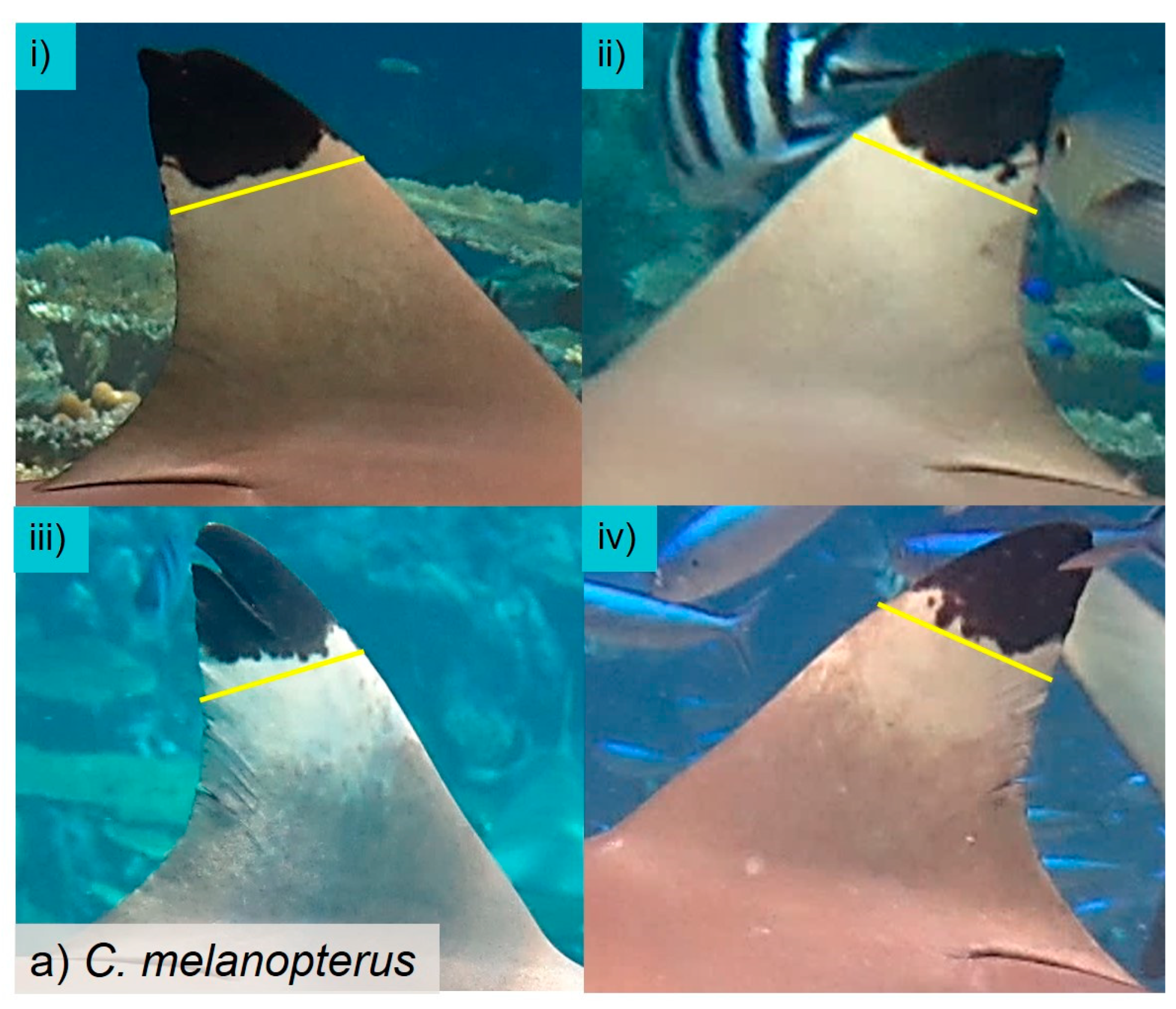 Oceans 01 00019 g003a