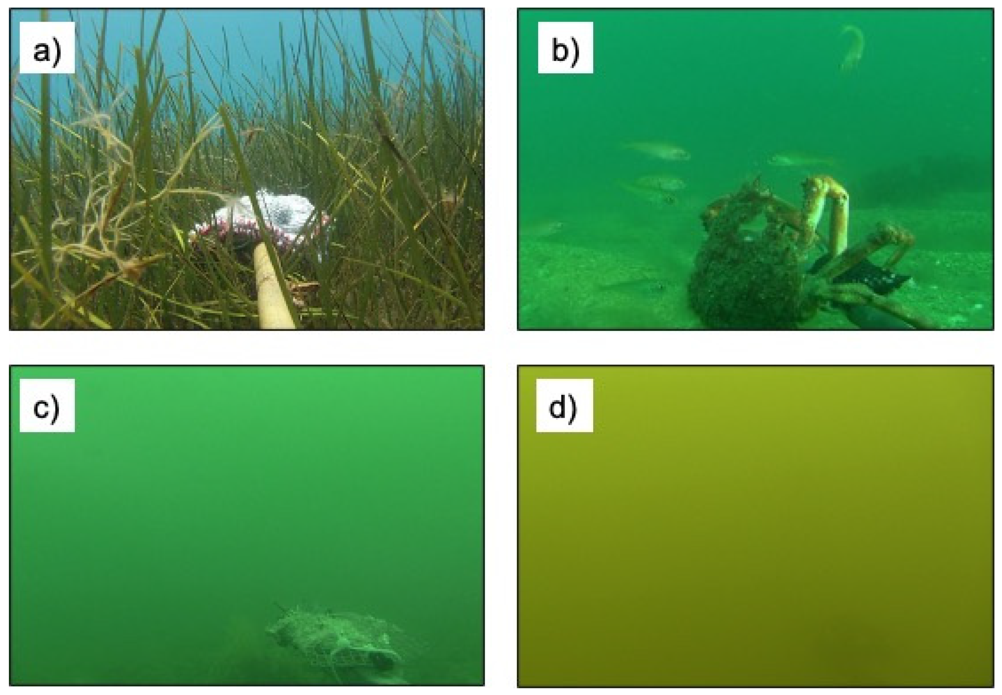 Oceans 02 00013 g002