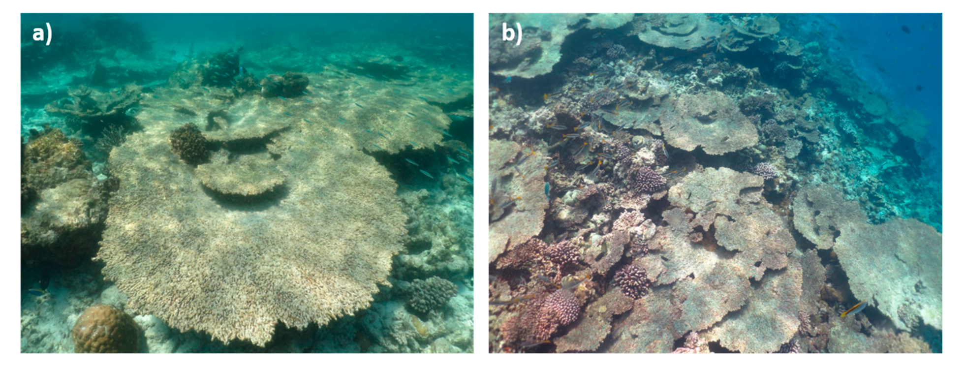 Oceans 02 00014 g003