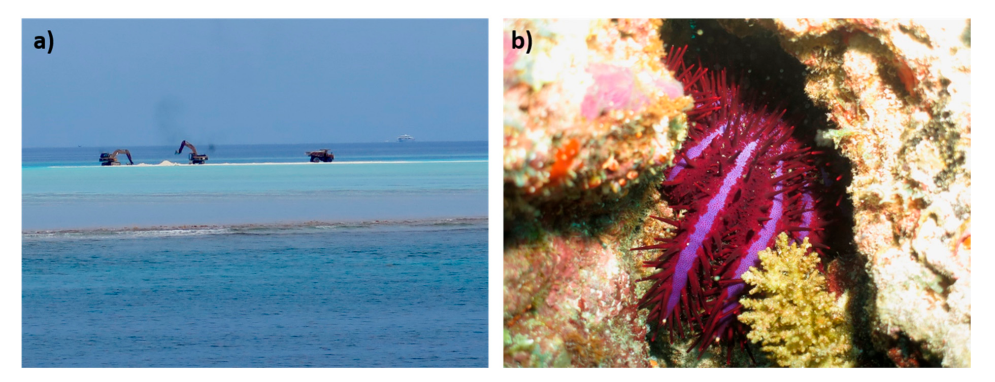 Oceans 02 00014 g005