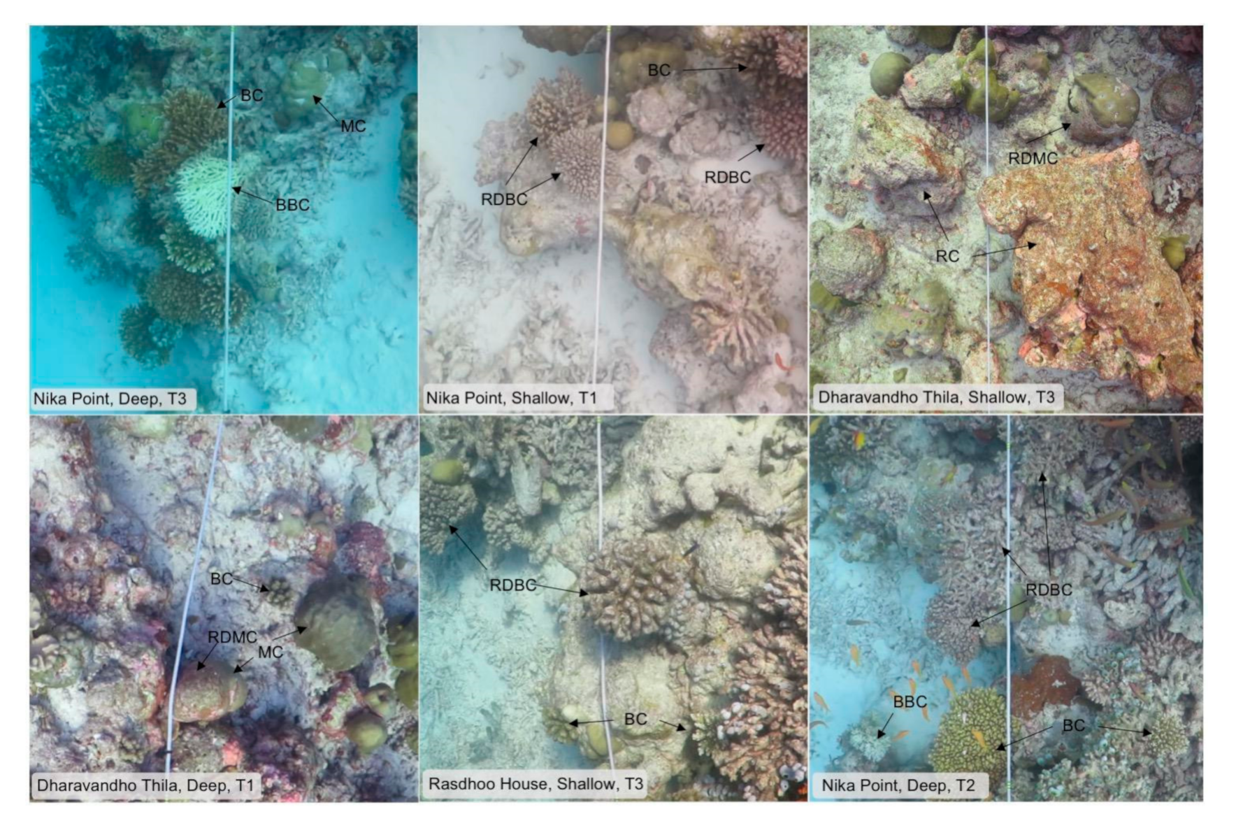 Oceans 02 00014 g006