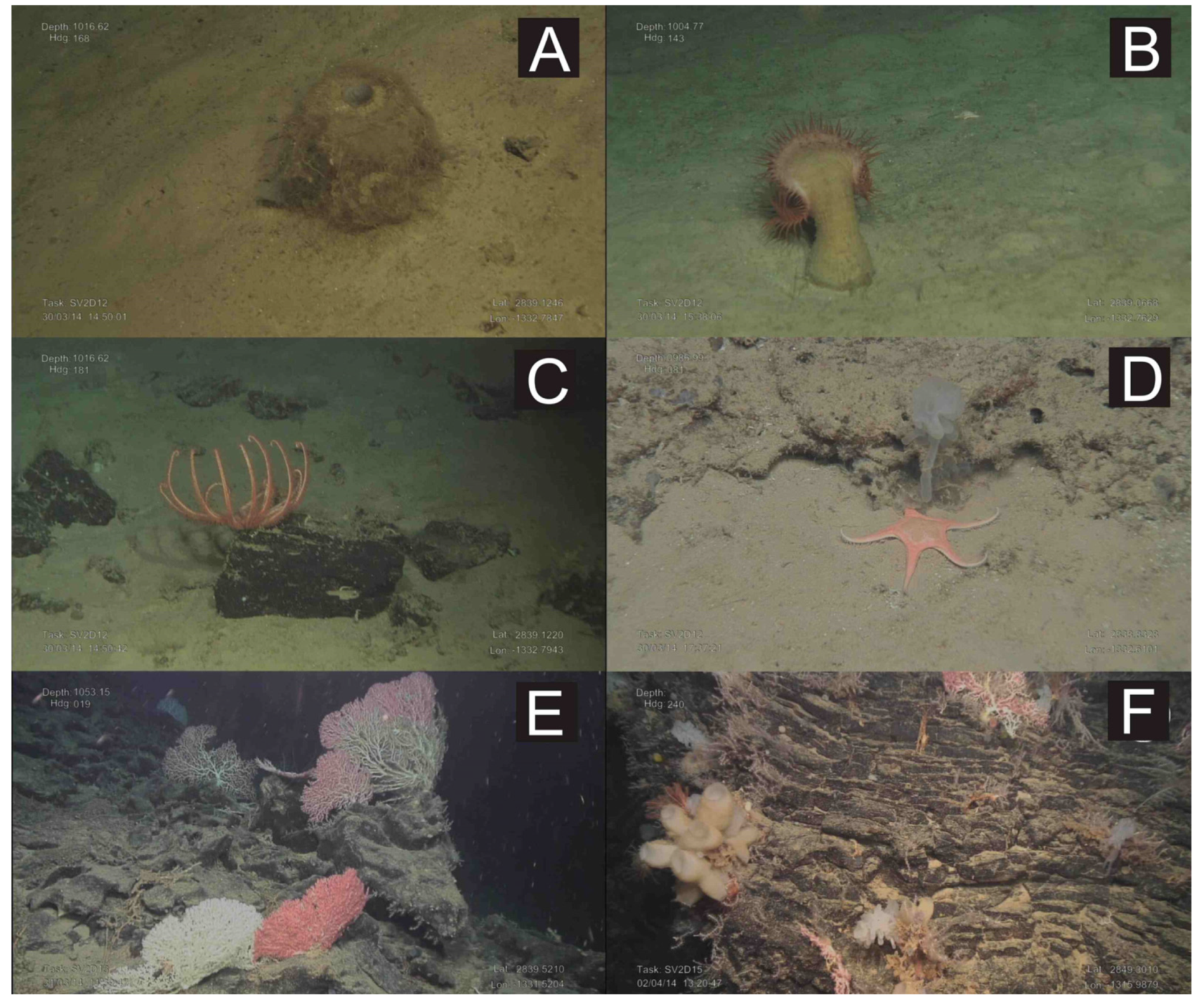 Oceans 02 00021 g008 Oceans 02 00021 g008