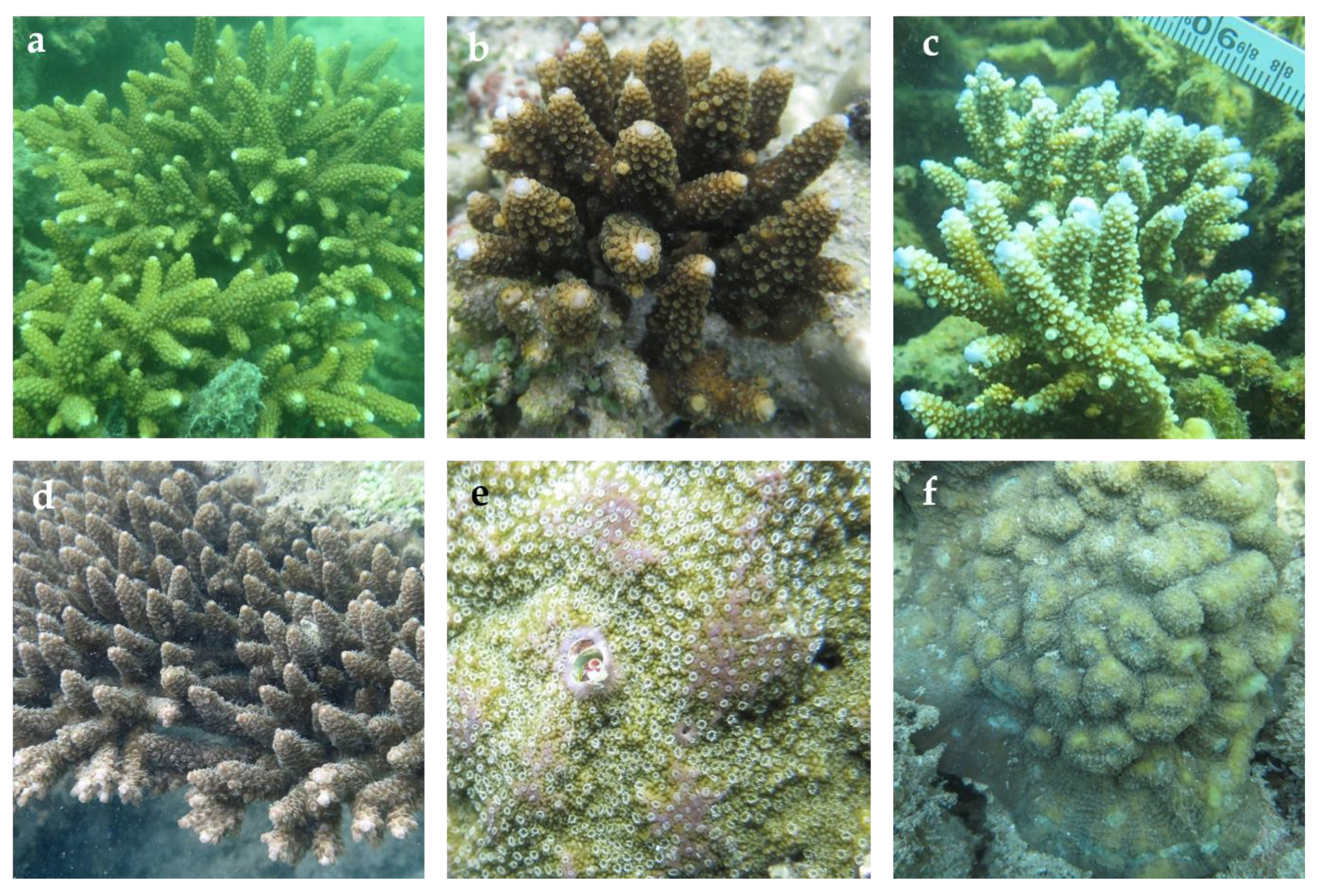 Oceans 02 00029 g006 Oceans 02 00029 g006