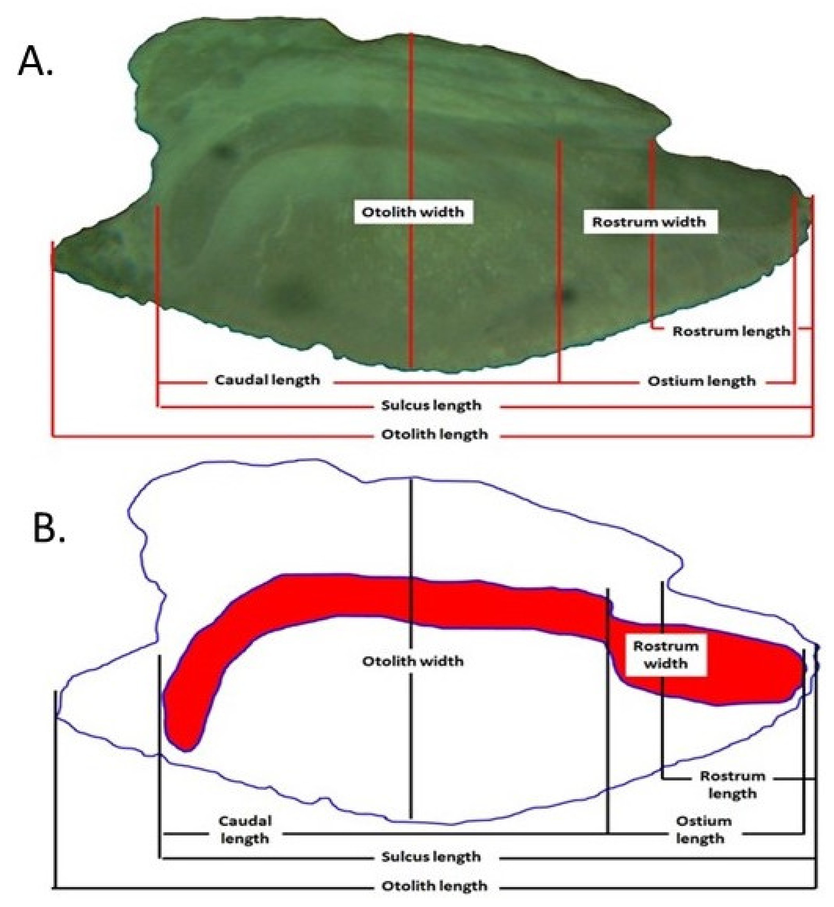 Oceans 02 00035 g002