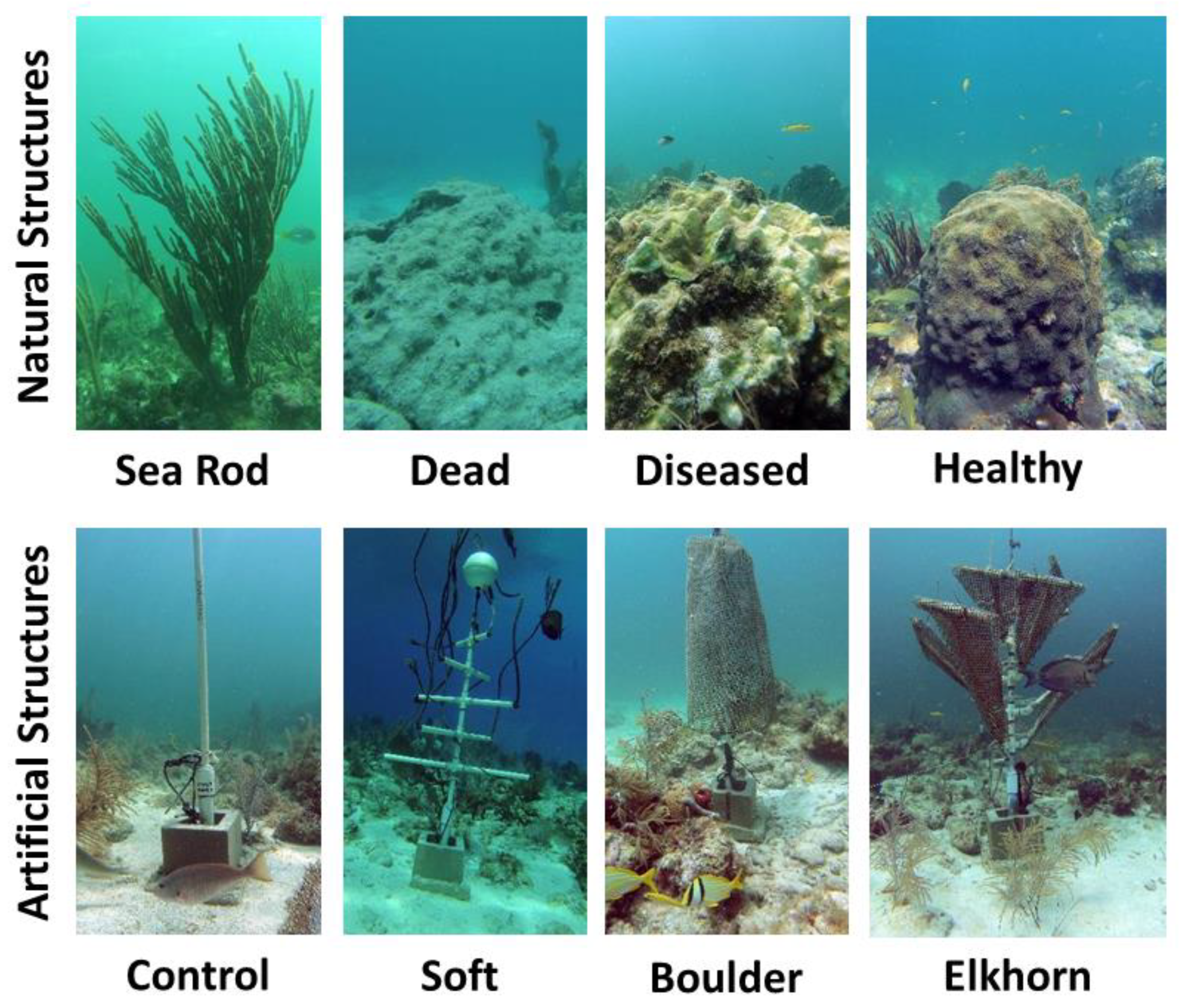 Oceans 02 00036 g002 550