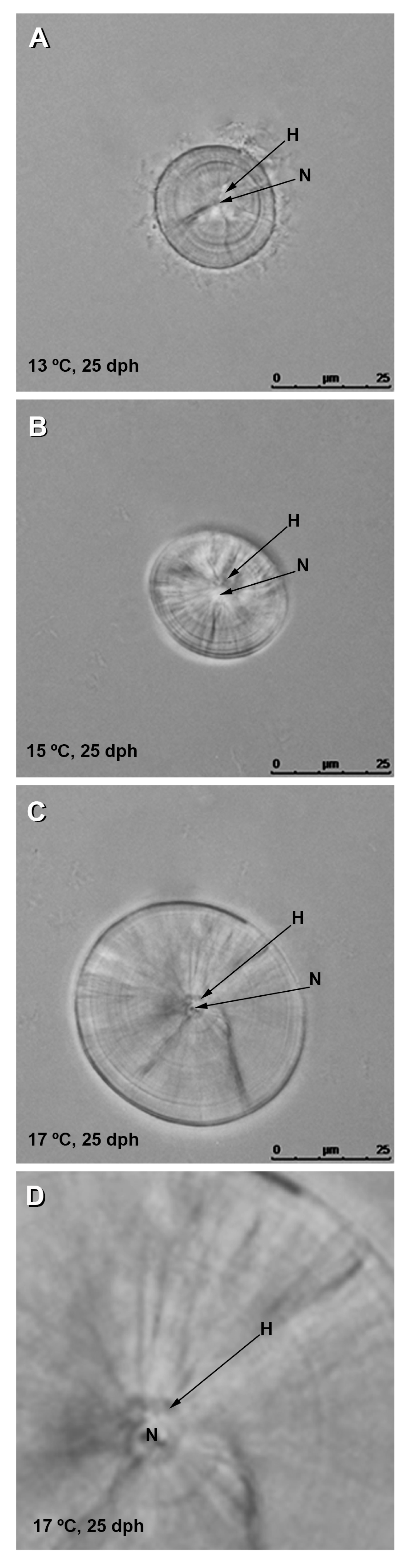 Oceans 02 00041 g003