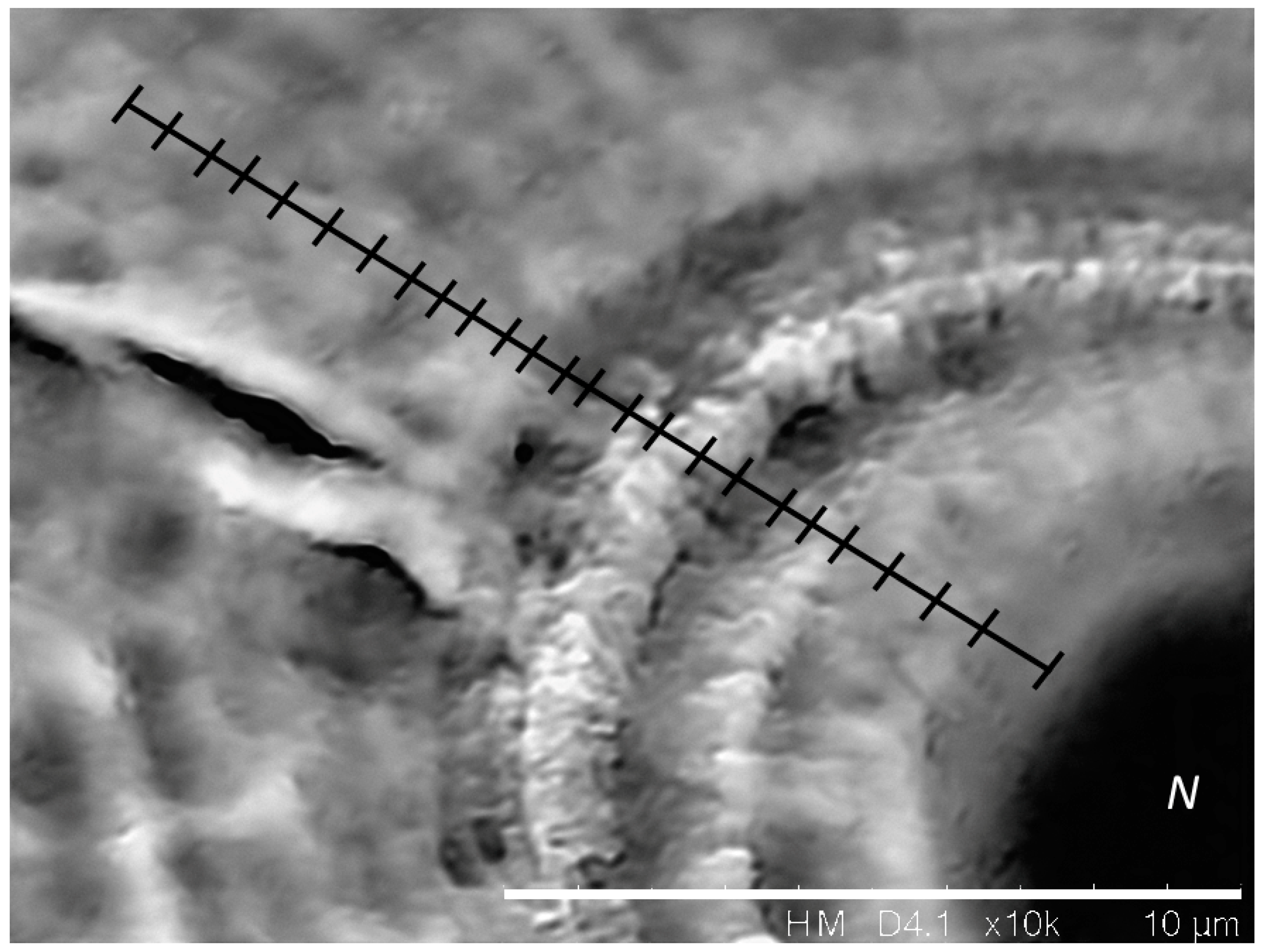 Oceans 02 00041 g007