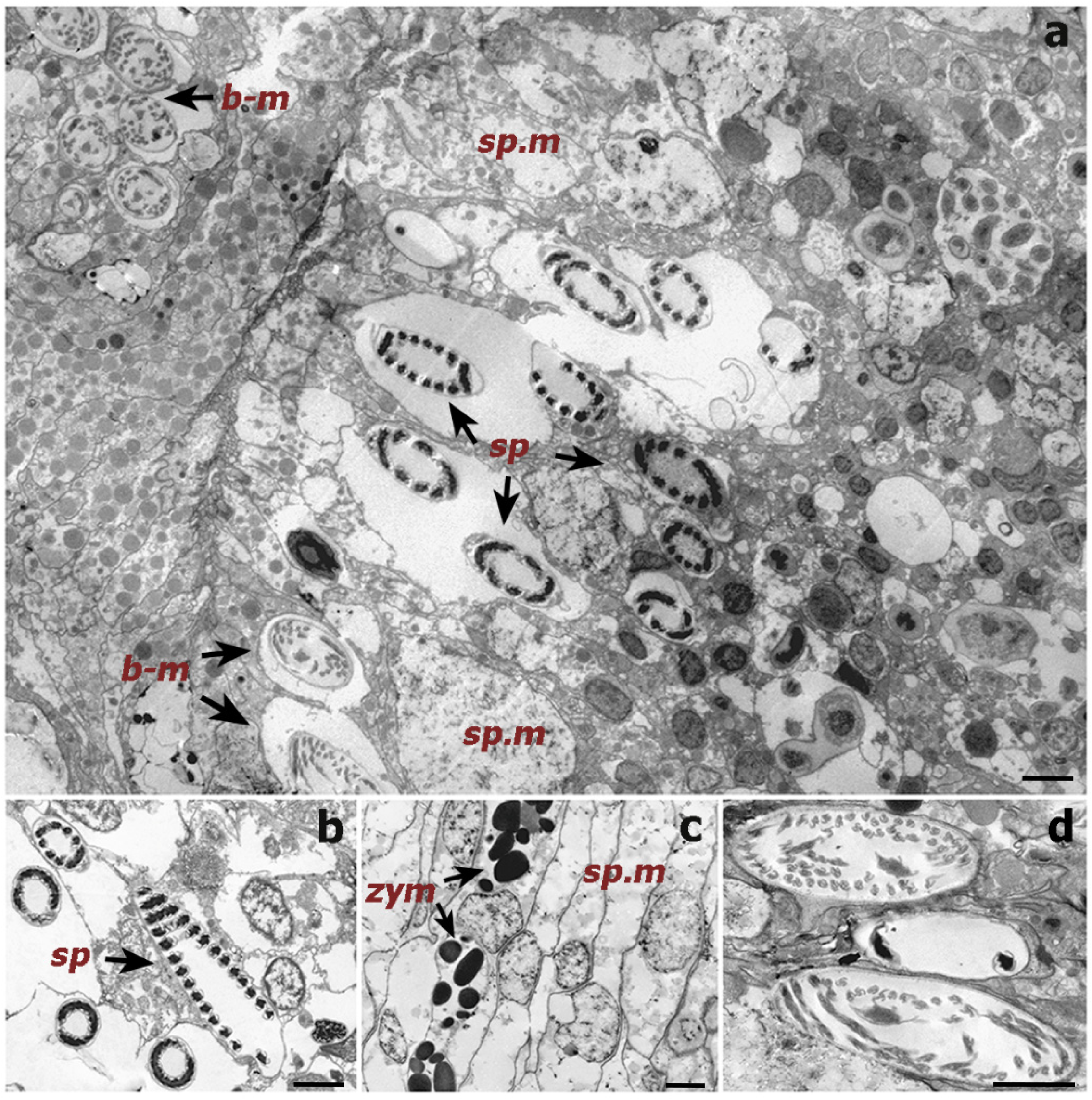 Oceans 02 00044 g005 550