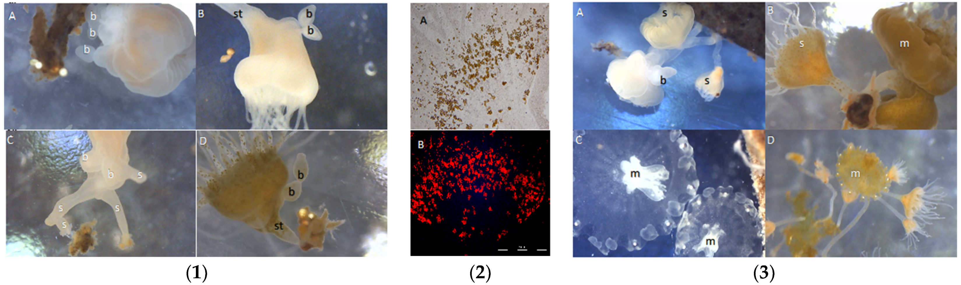 Oceans 02 00046 g007 550