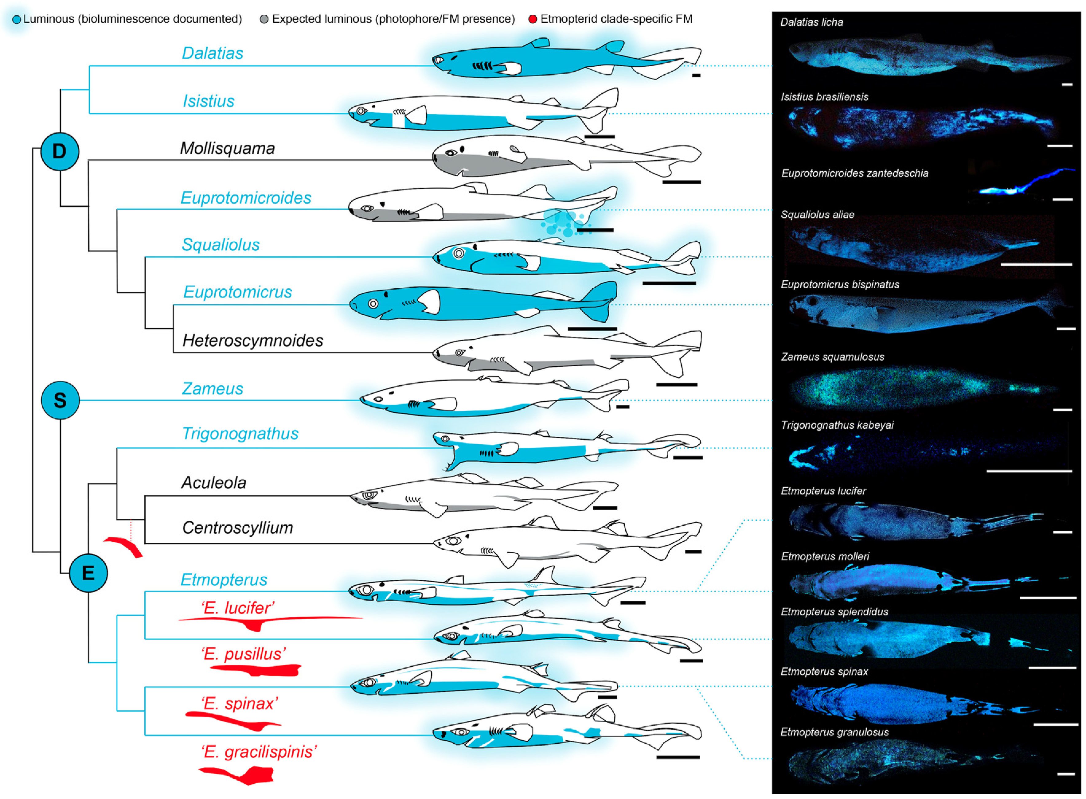 Oceans 02 00047 g002
