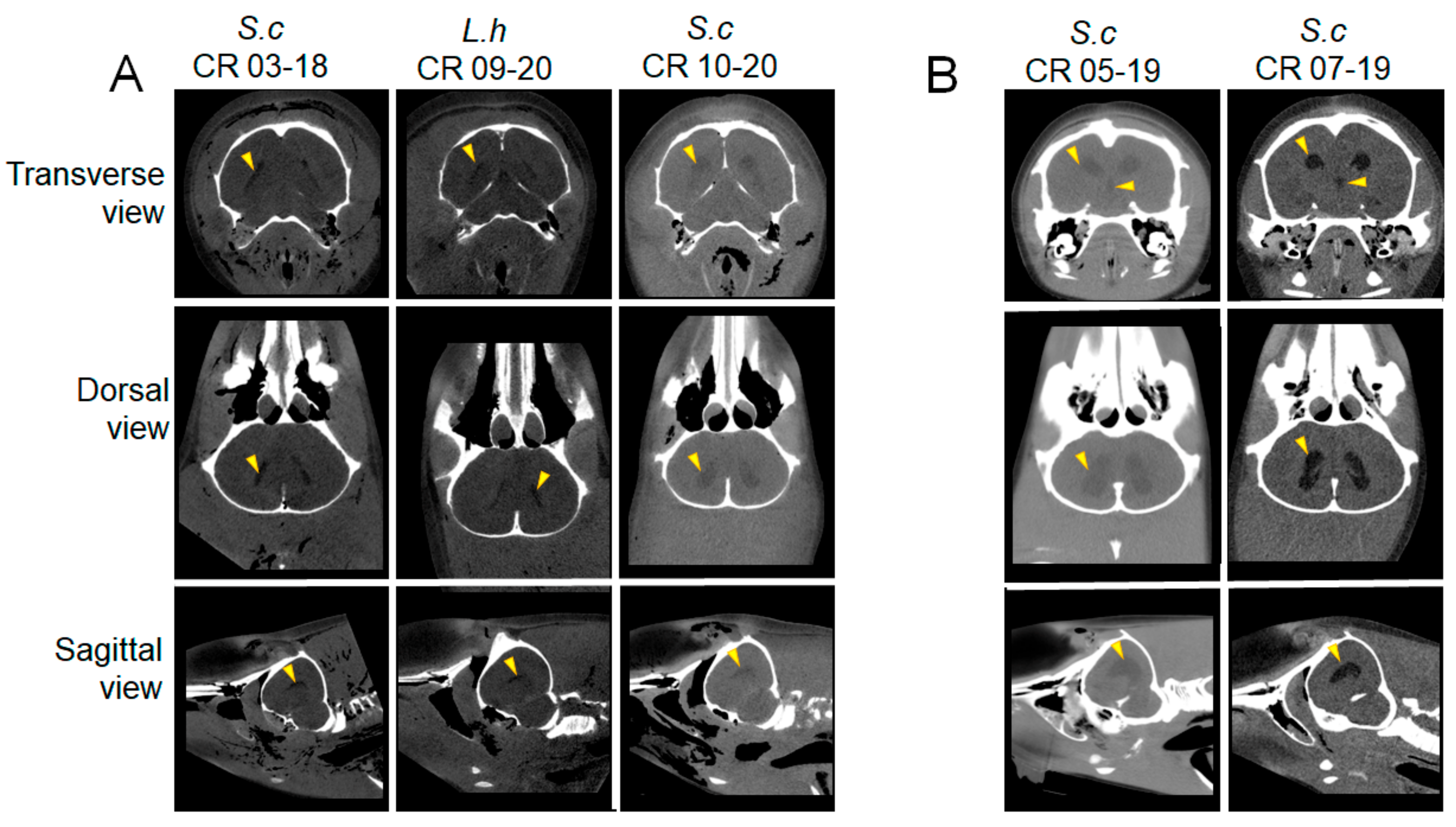 Oceans 03 00014 g002