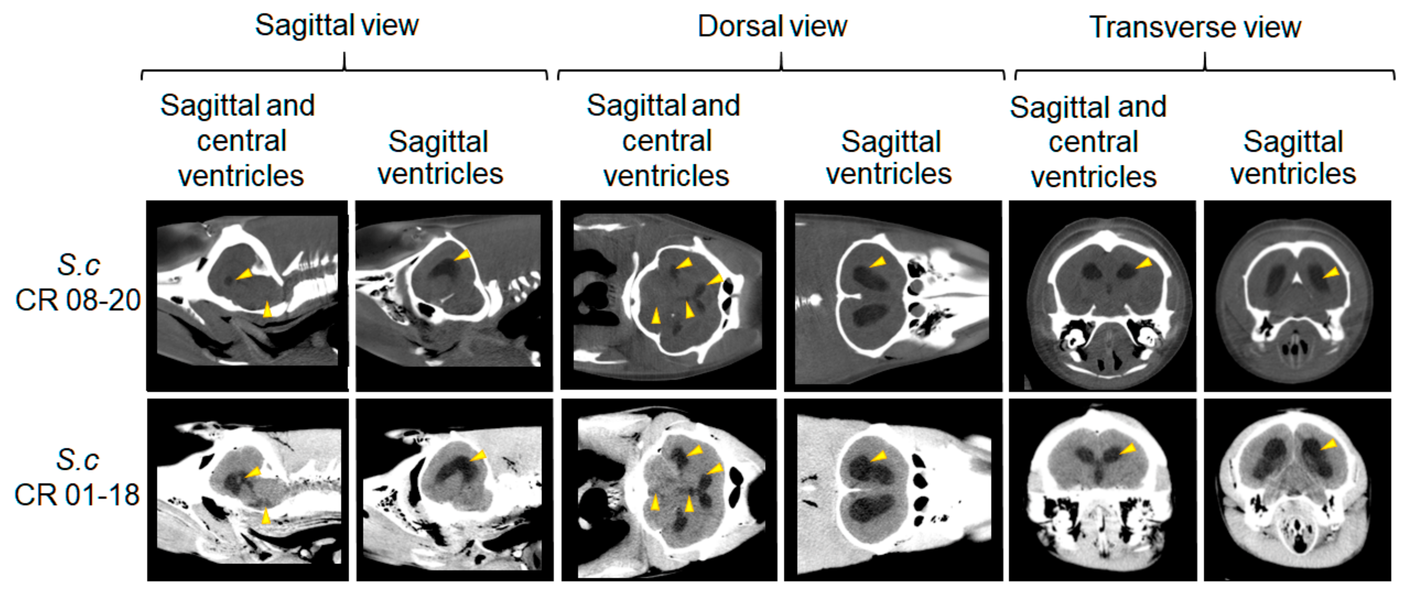 Oceans 03 00014 g003