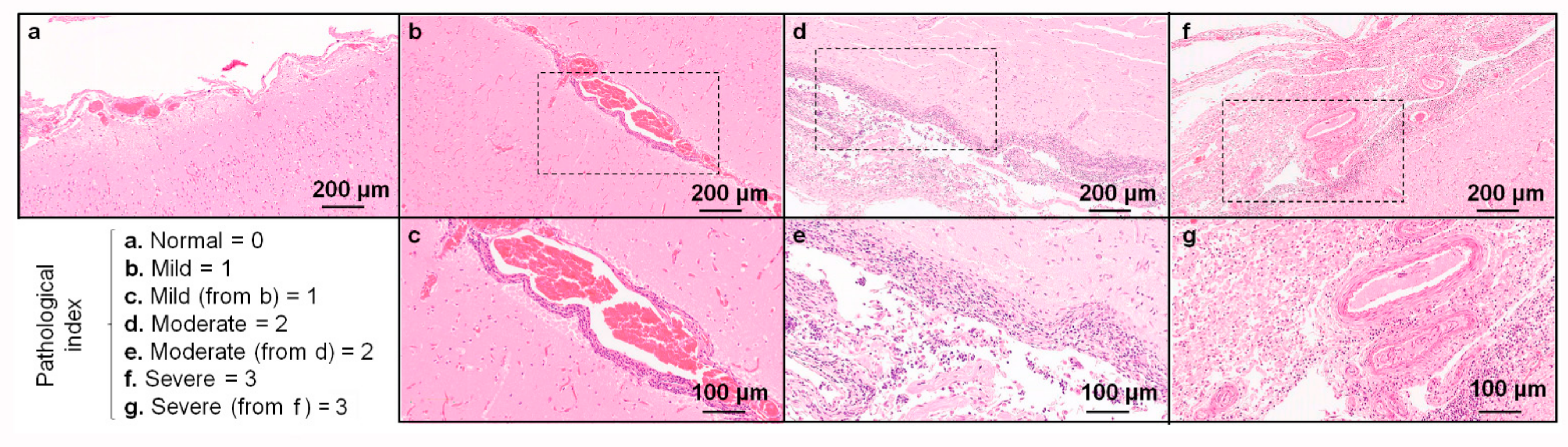 Oceans 03 00014 g006