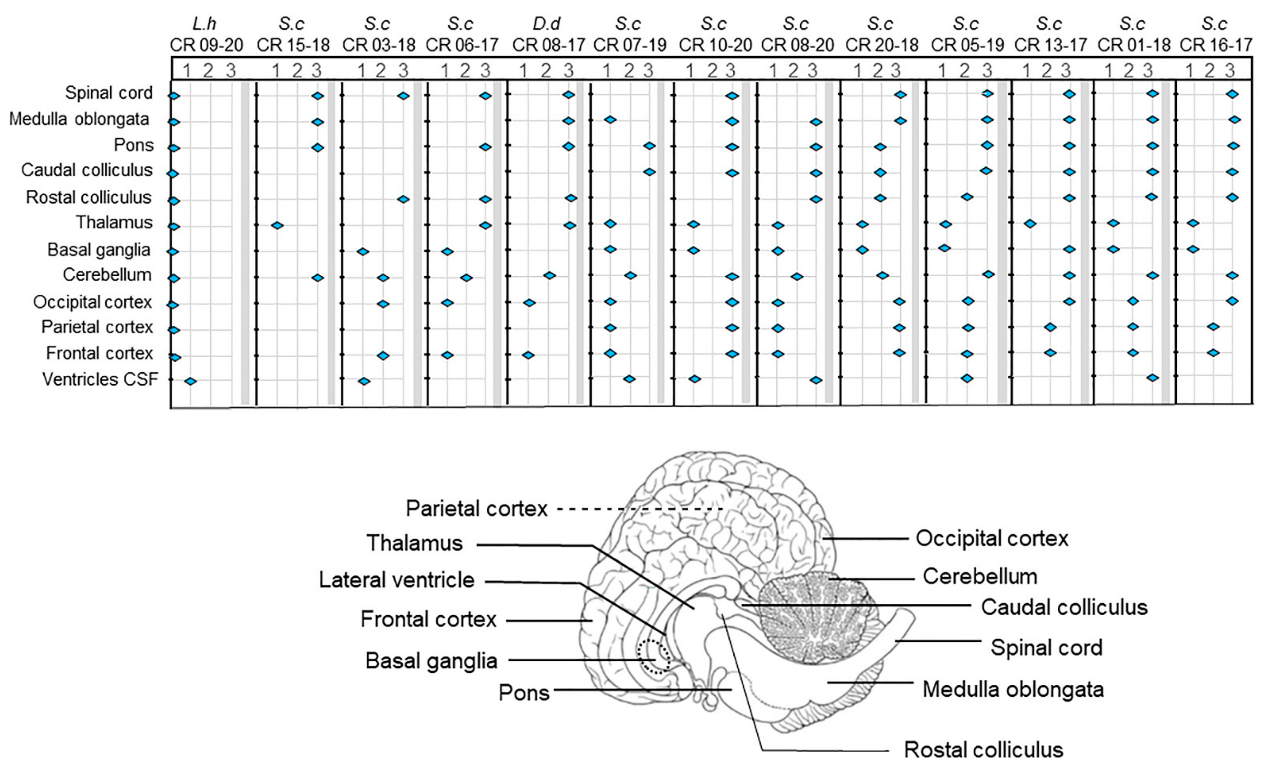 Oceans 03 00014 g007