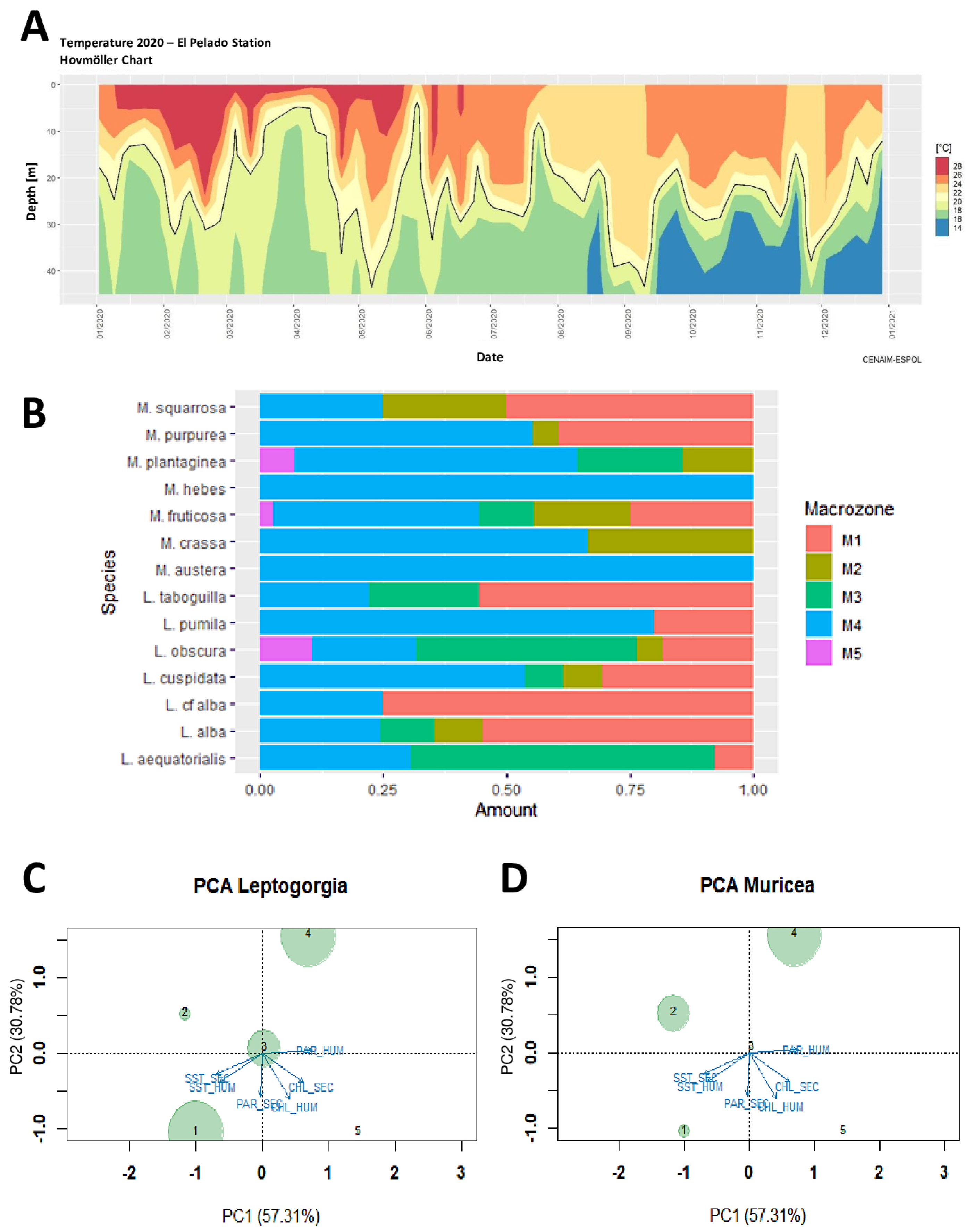 Oceans 03 00016 g003 Oceans 03 00016 g003