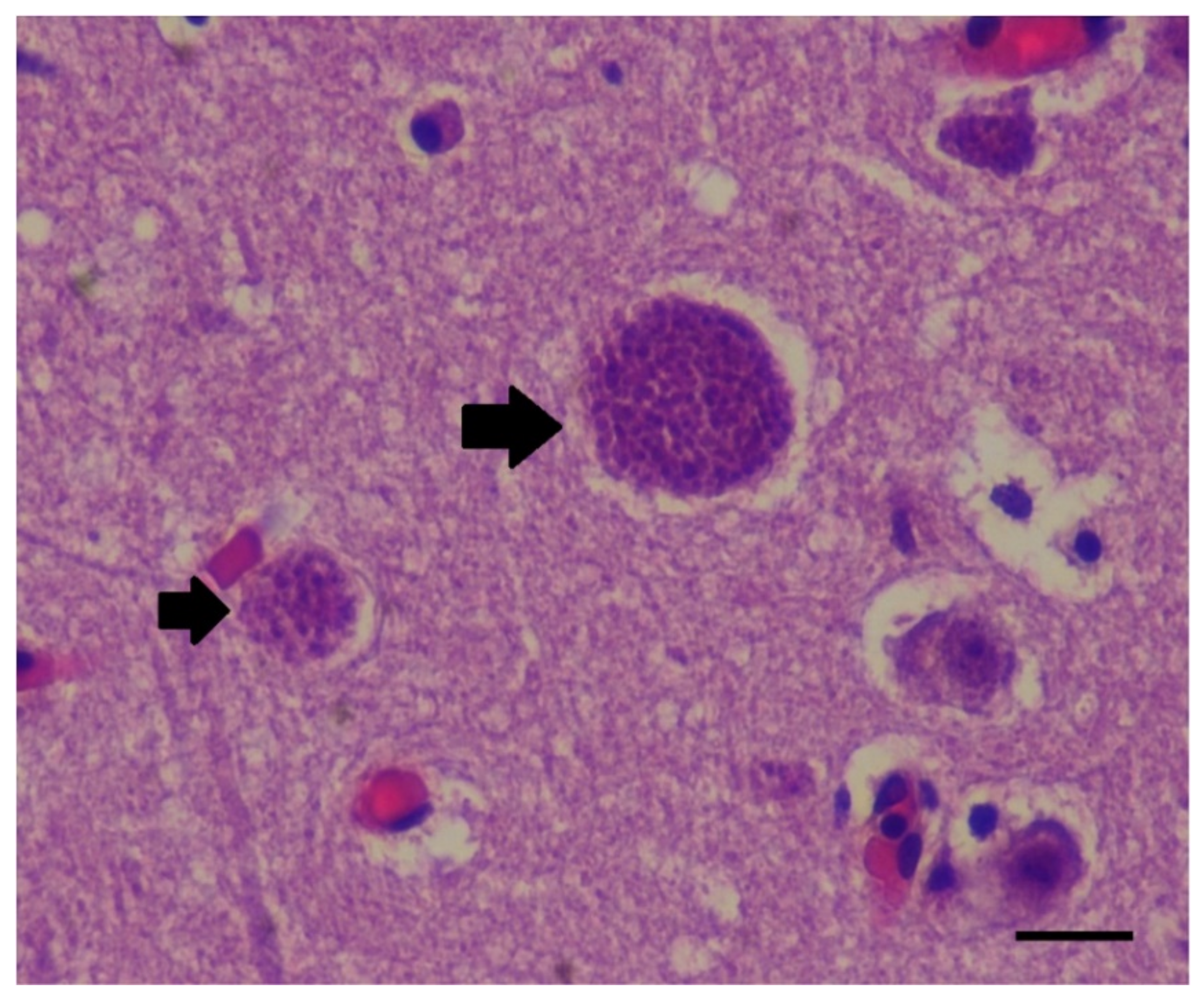 Oceans 03 00030 g0a2