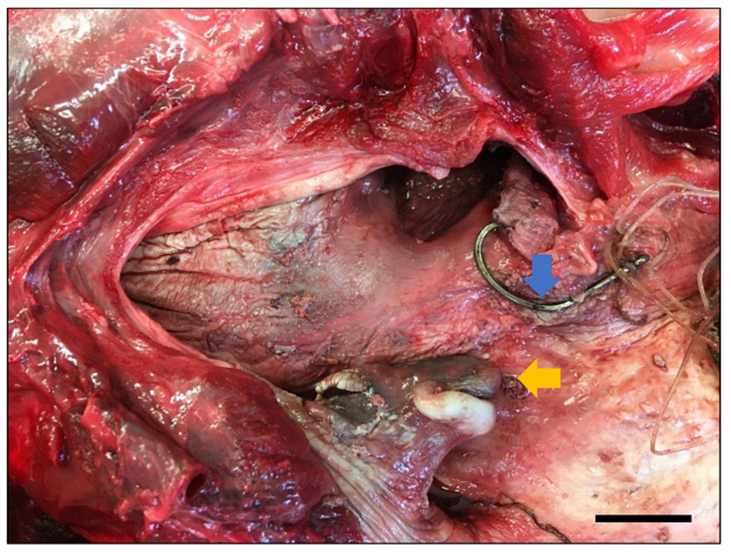 Oceans 03 00030 g0a4