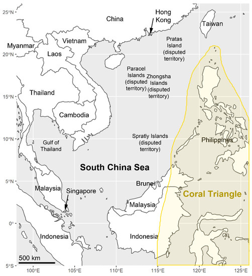 Oceans | Free Full-Text | Bioerosion Research in the South China Sea
