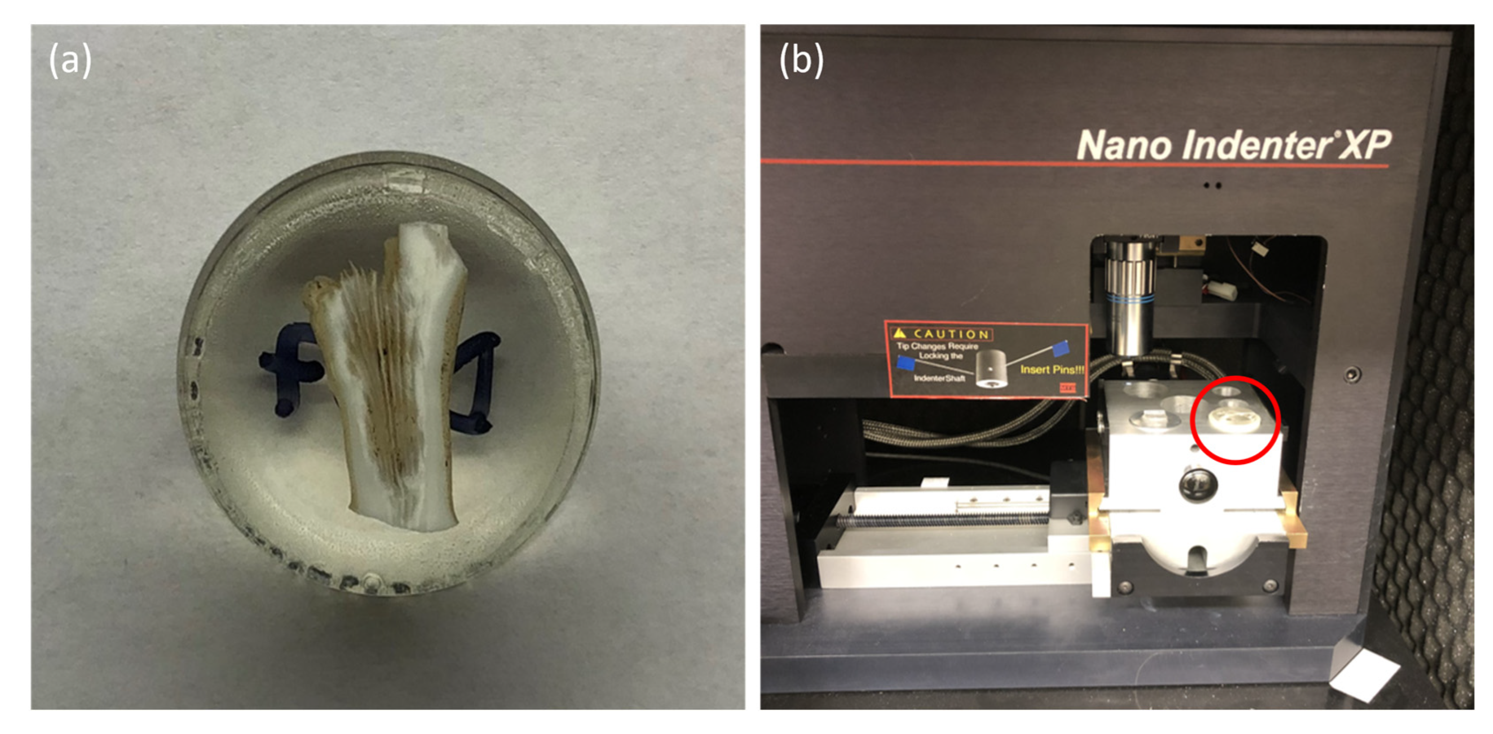 Oceans 04 00006 g002 550