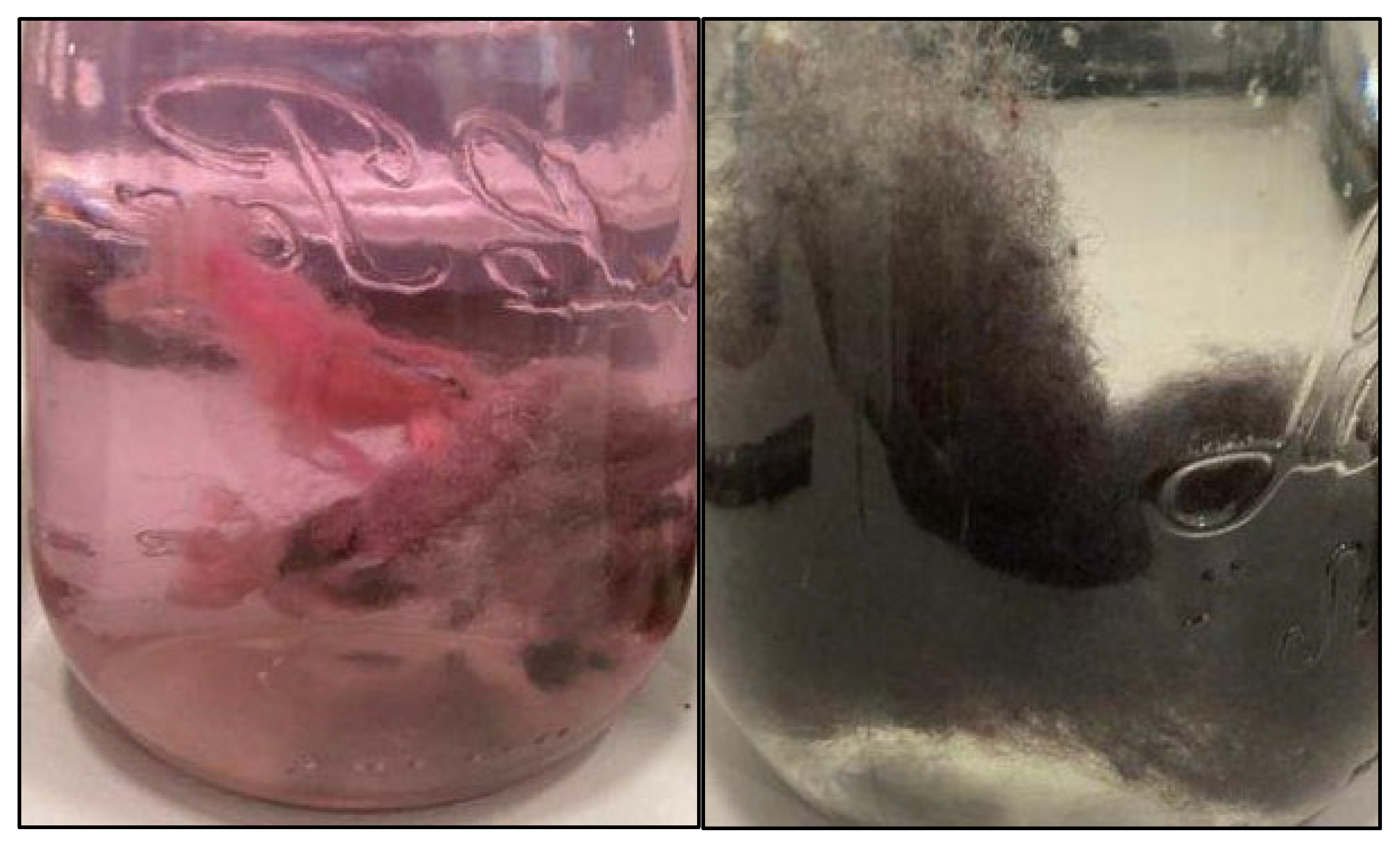 Oceans 04 00009 g005 Oceans 04 00009 g005