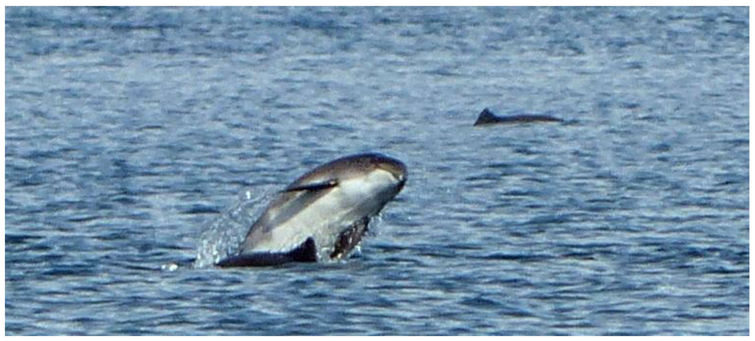 Oceans 04 00019 g003 Oceans 04 00019 g003