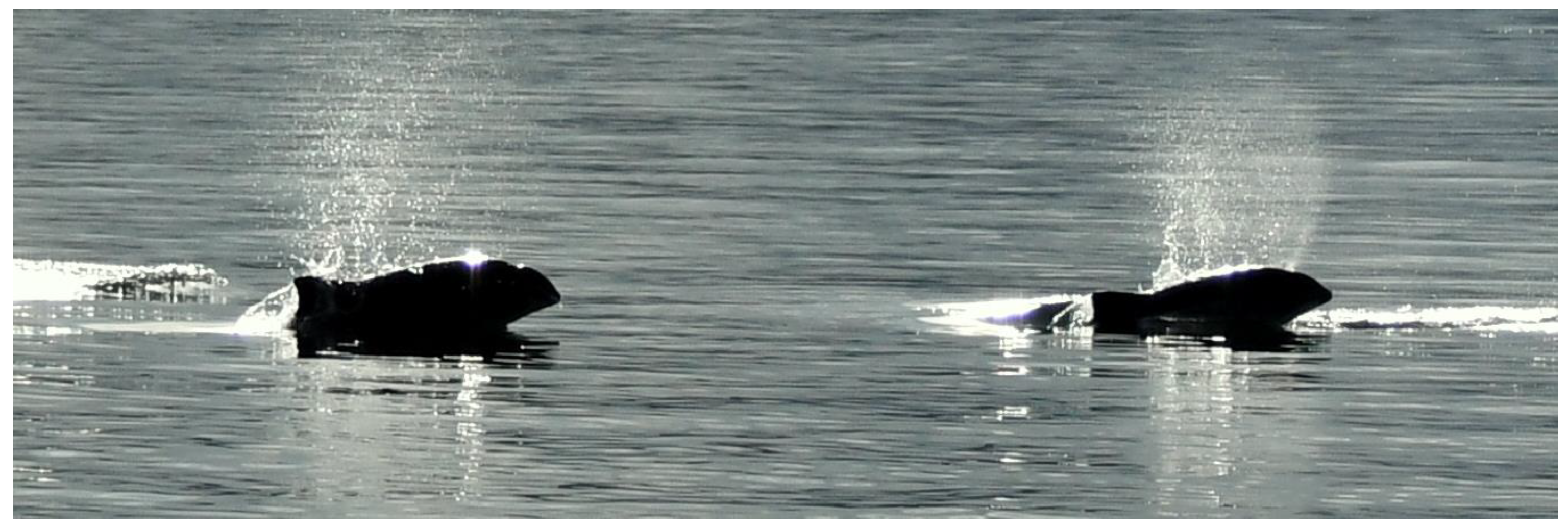 Oceans 04 00019 g004 Oceans 04 00019 g004