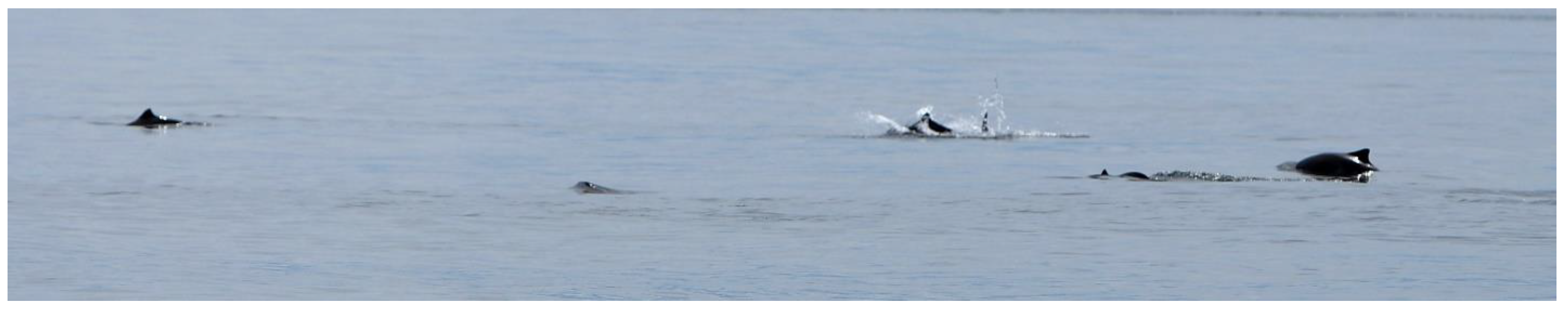 Oceans 04 00019 g005 Oceans 04 00019 g005