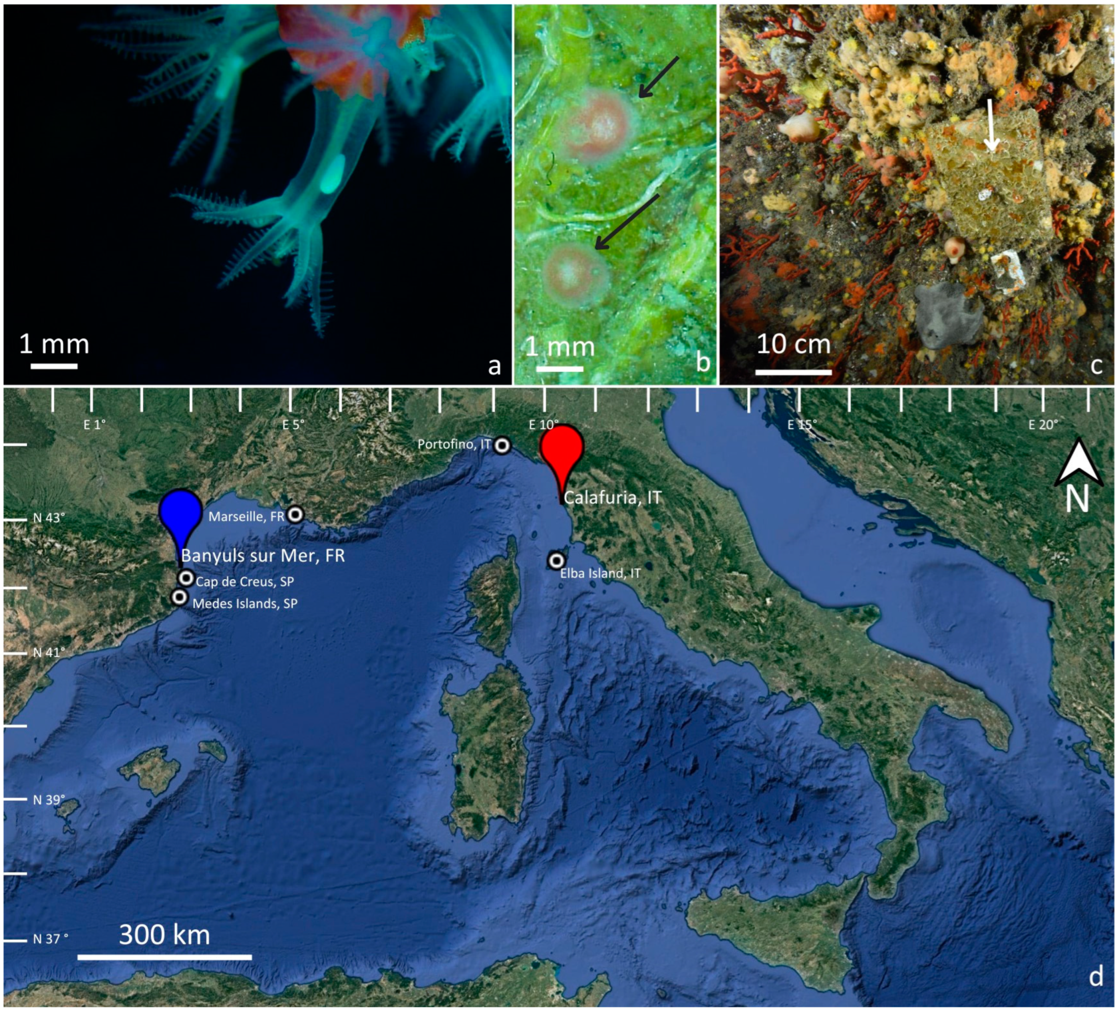 Oceans 04 00021 g001 Oceans 04 00021 g001