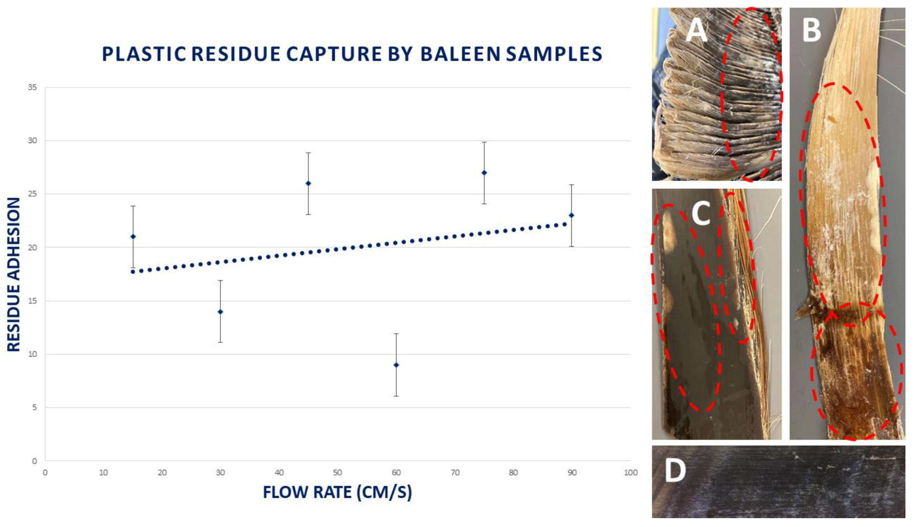 Oceans 05 00004 g009