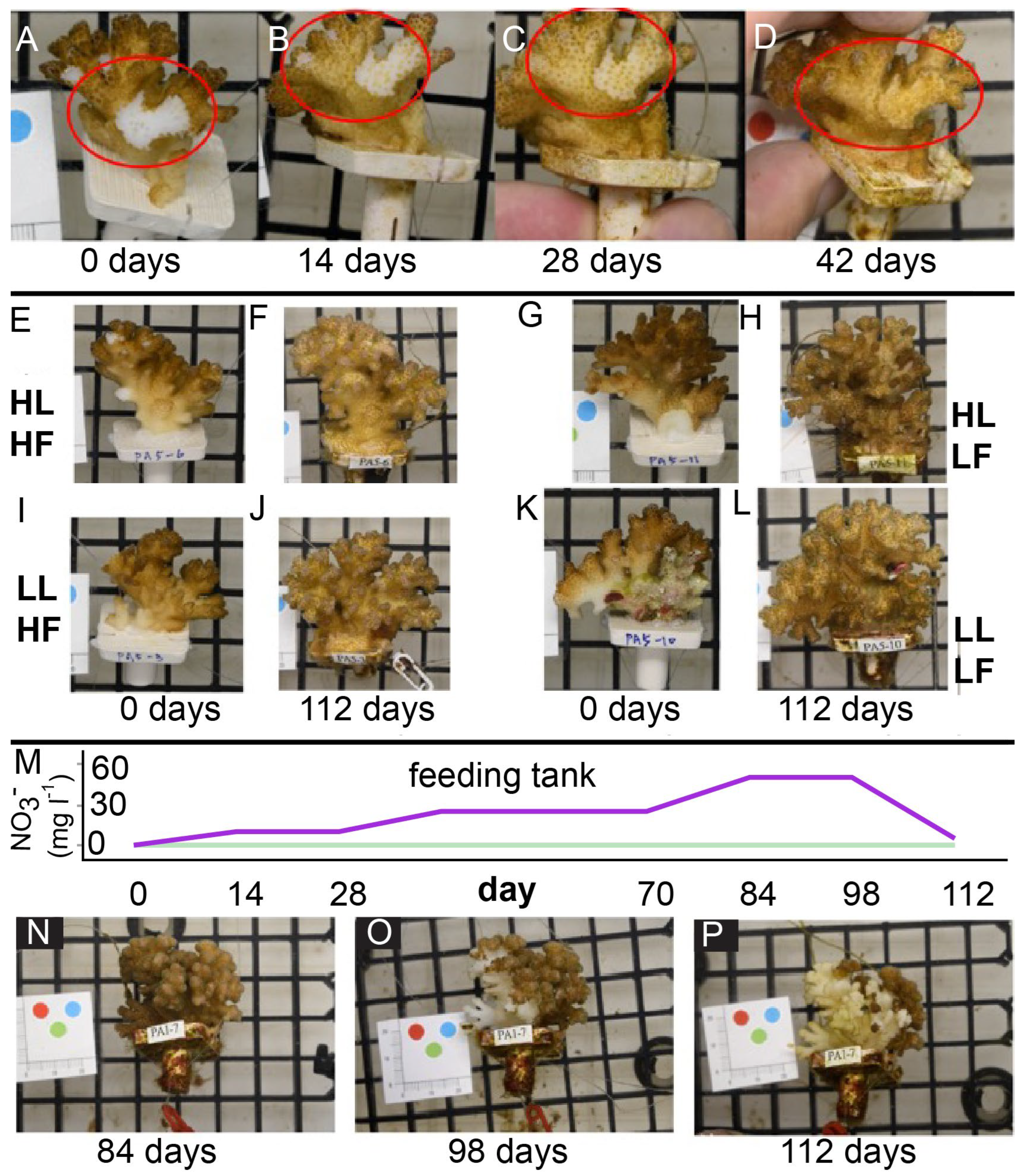 Oceans 05 00009 g002