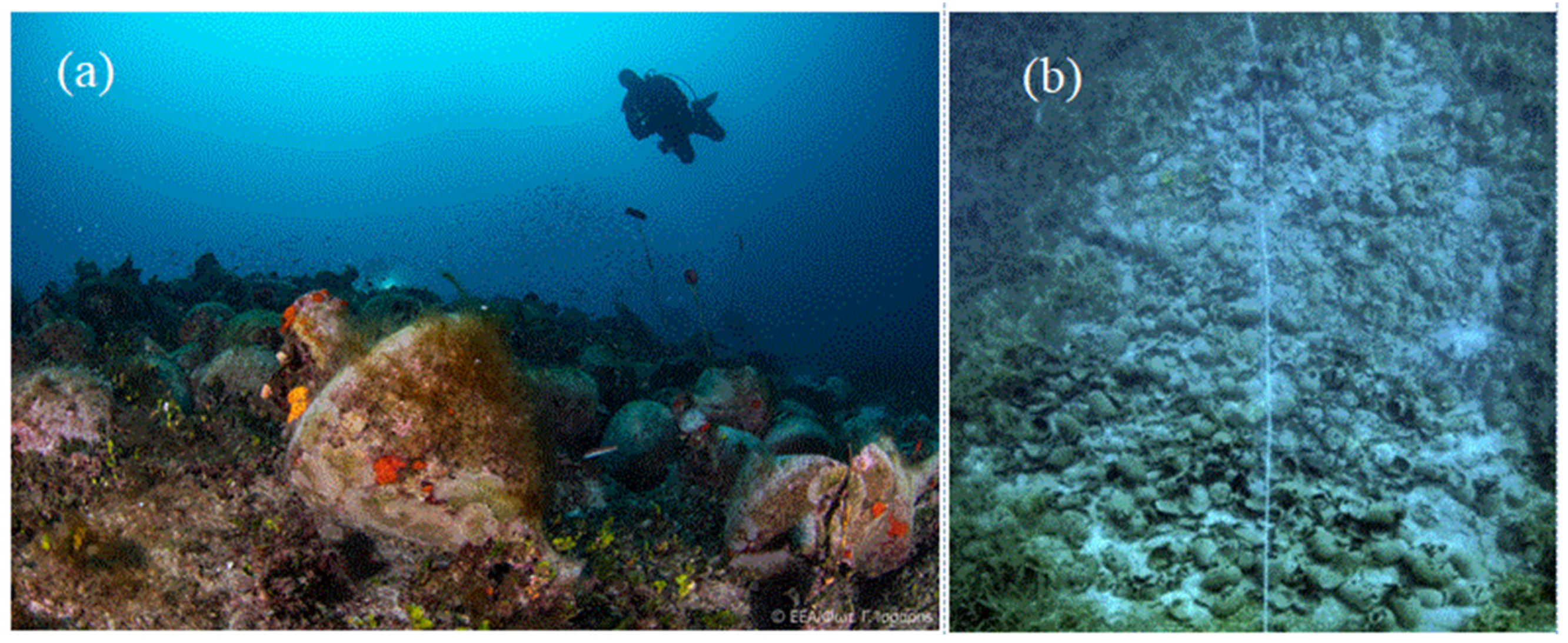 Oceans 05 00030 g004