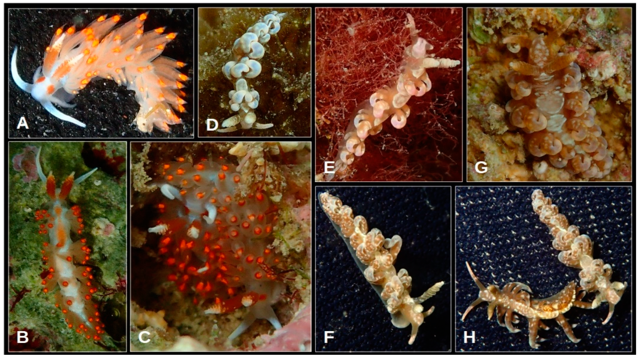 Oceans 05 00040 g006 Oceans 05 00040 g006