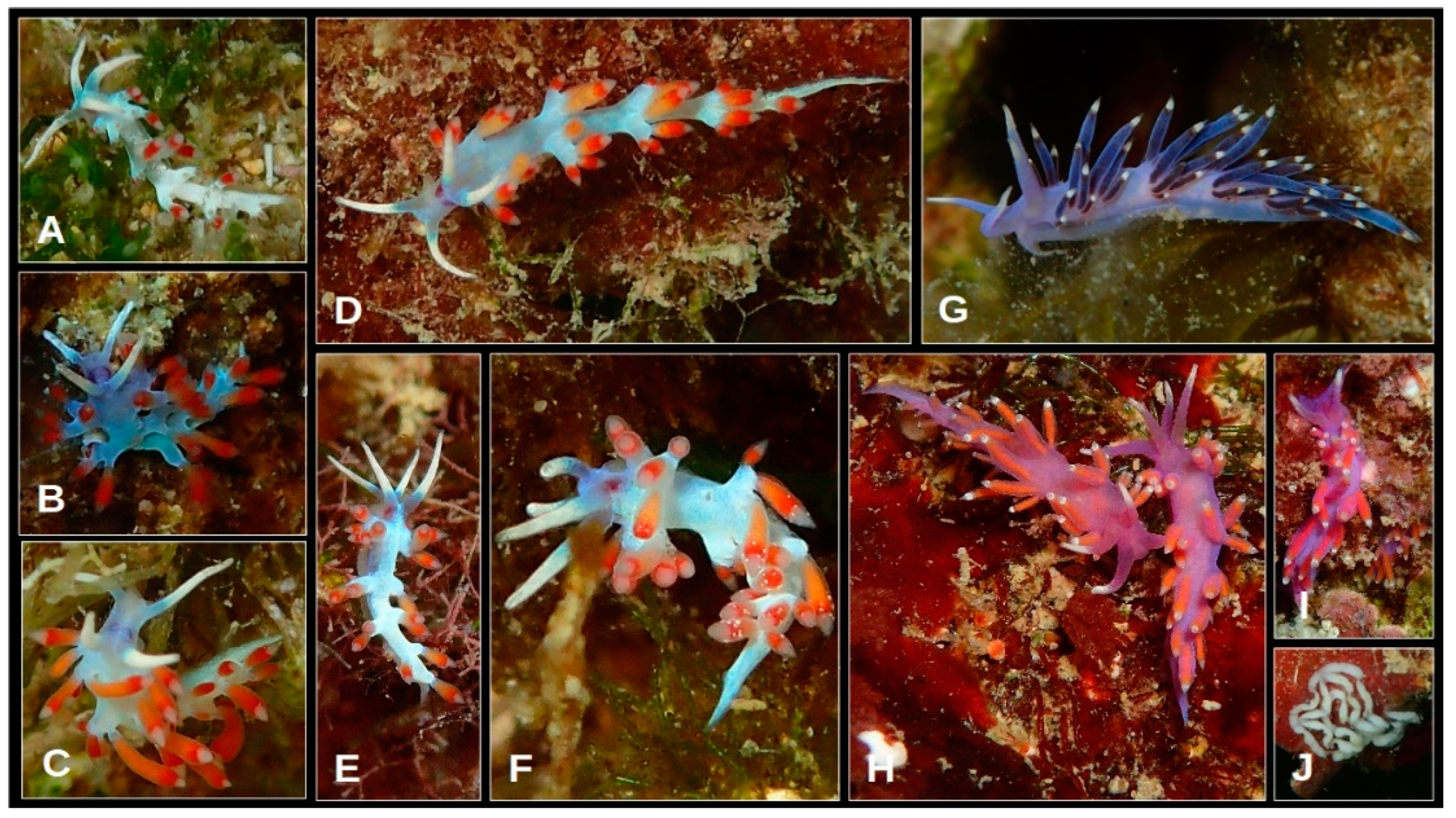 Oceans 05 00040 g008 Oceans 05 00040 g008