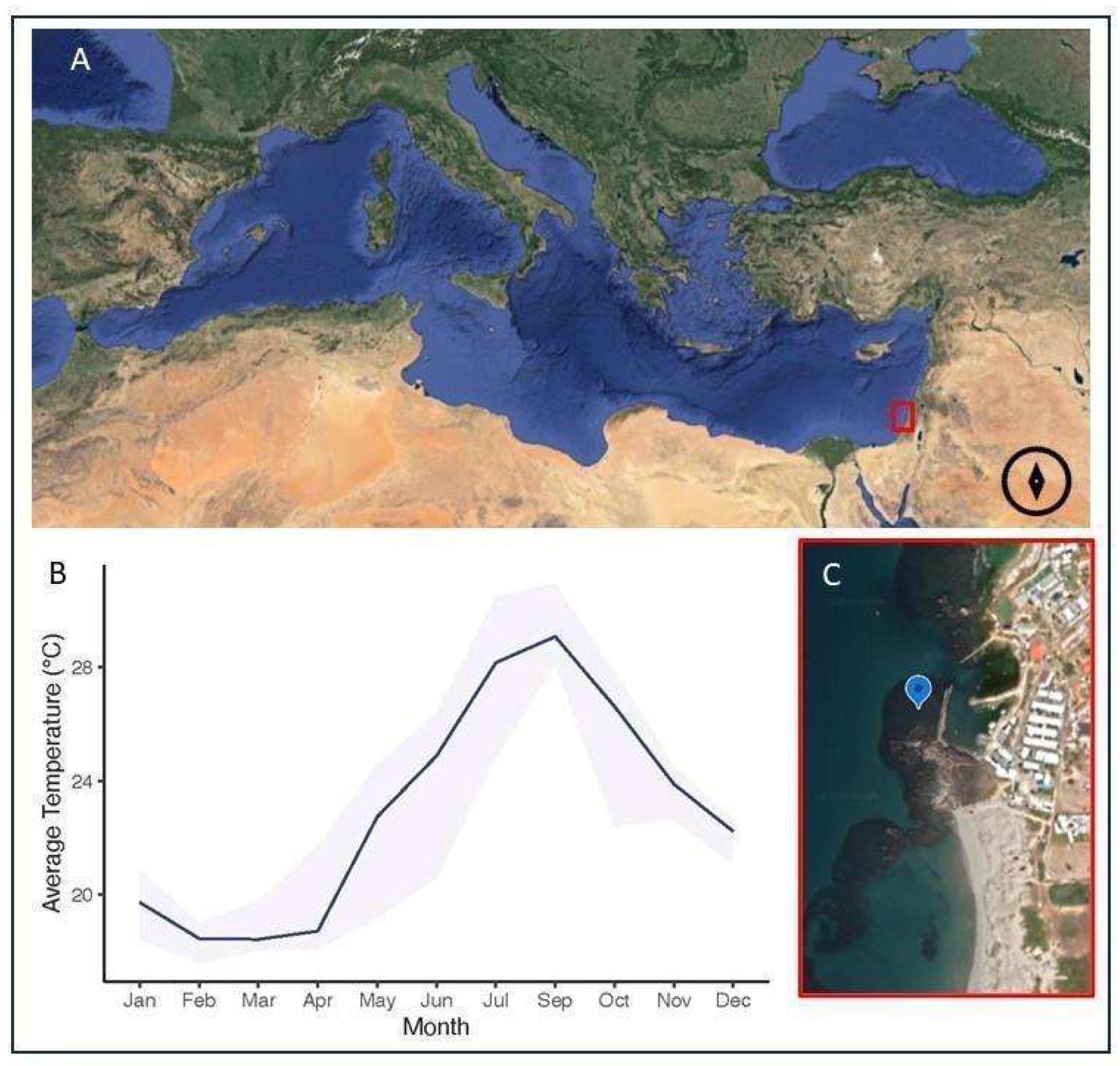 Oceans 05 00043 g001 Oceans 05 00043 g001