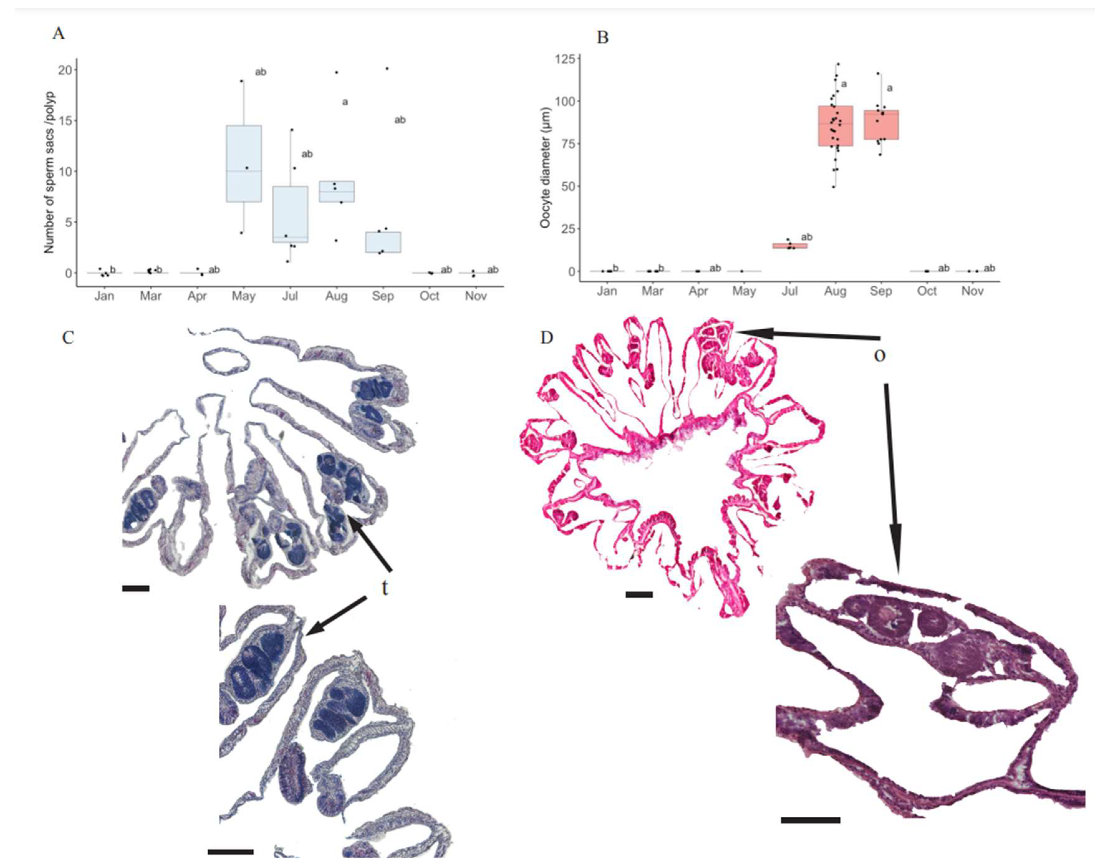 Oceans 05 00043 g003 Oceans 05 00043 g003