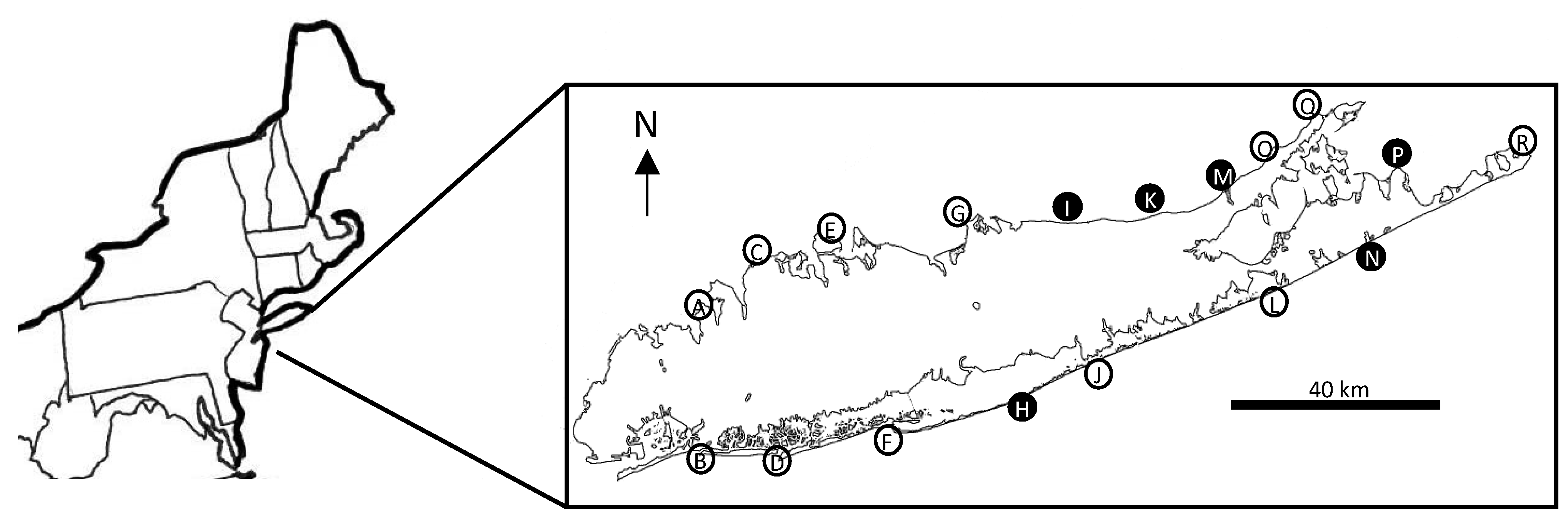 Oceans 05 00047 g001