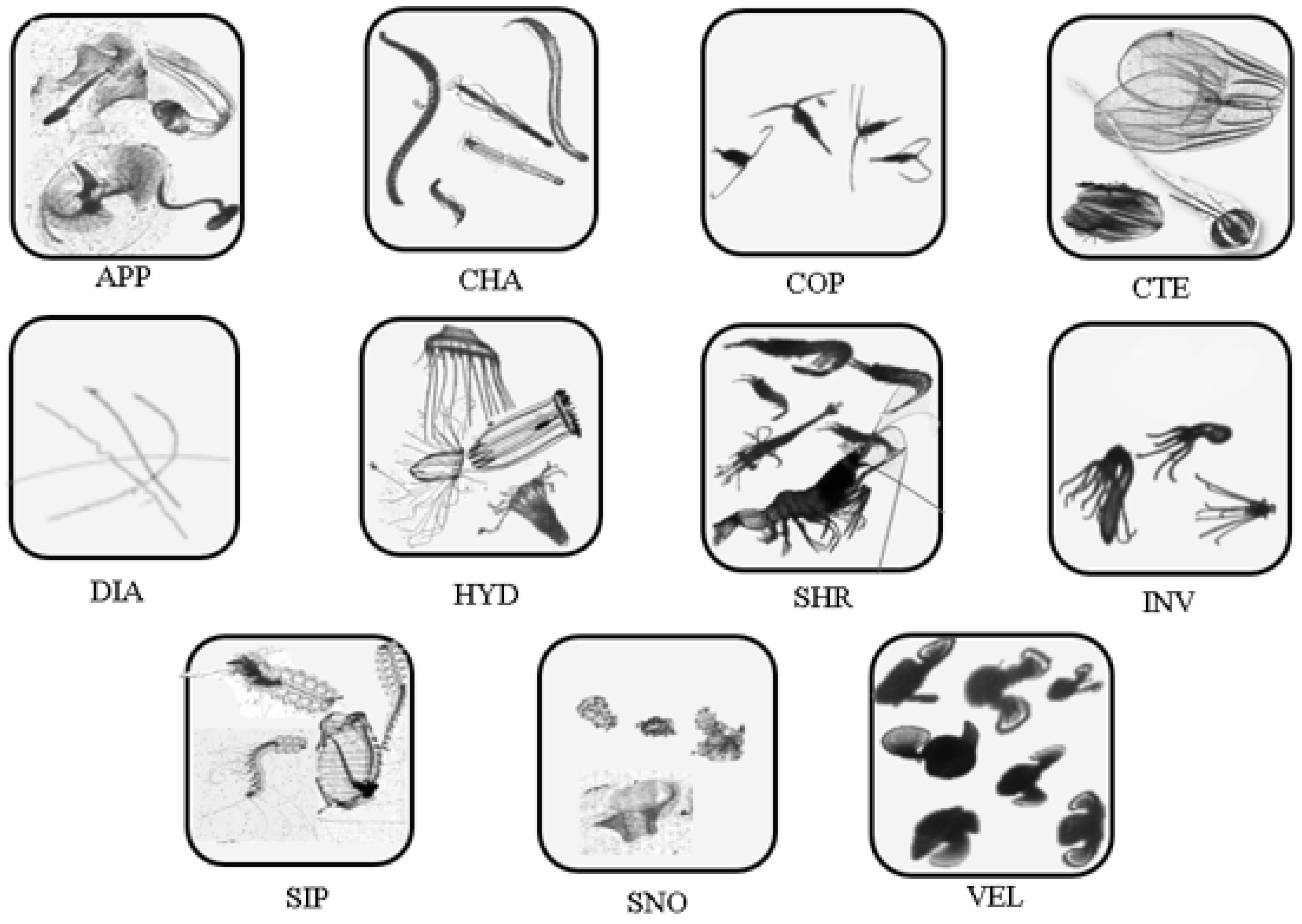 Oceans 06 00007 g002
