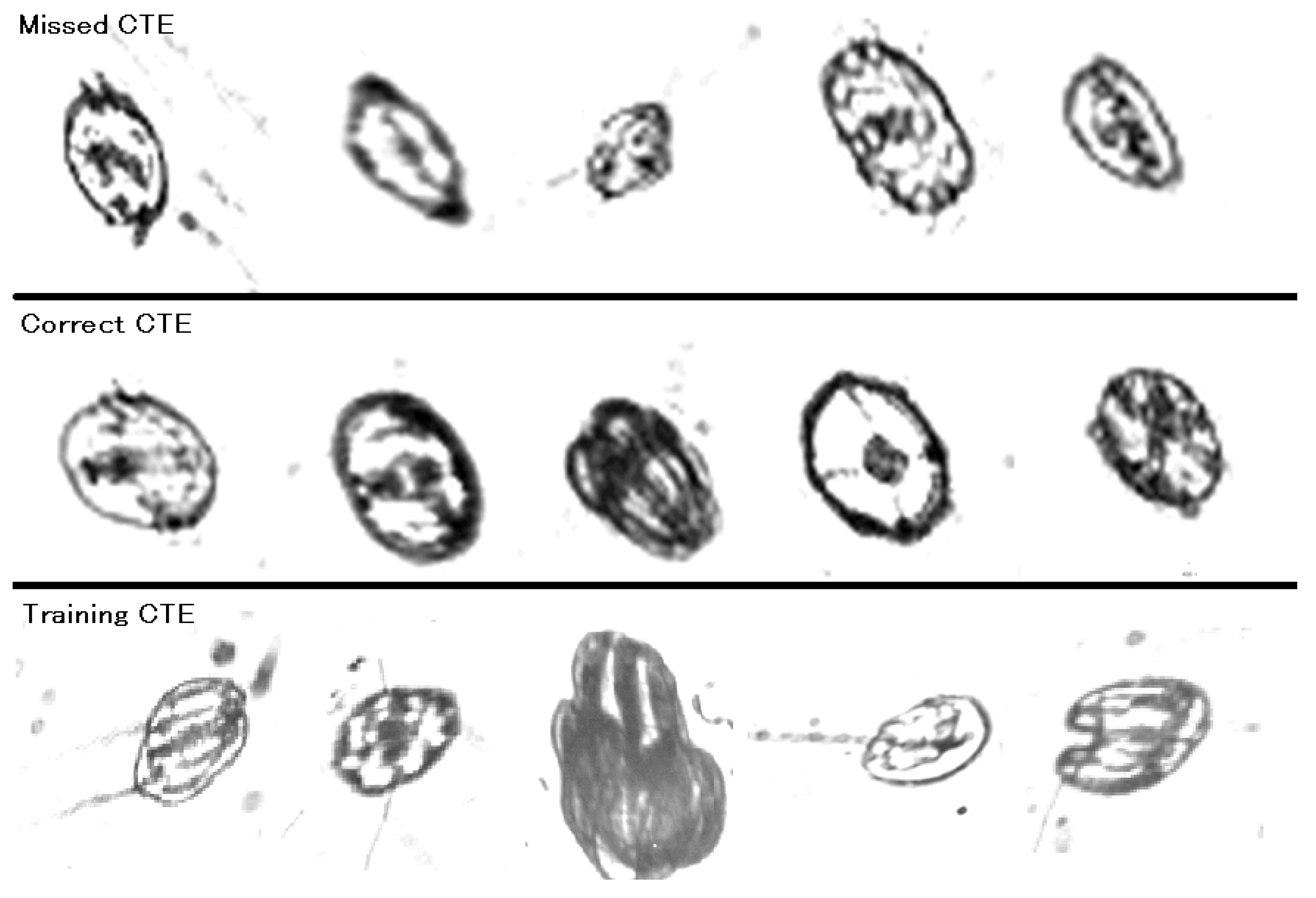 Oceans 06 00007 g010