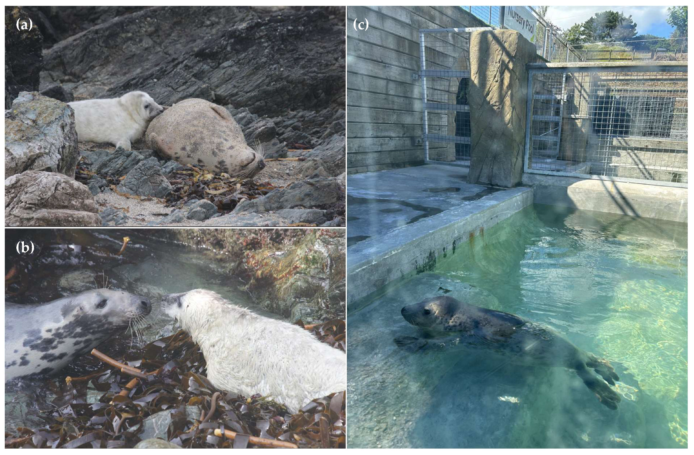 Oceans 06 00019 g001 Oceans 06 00019 g001