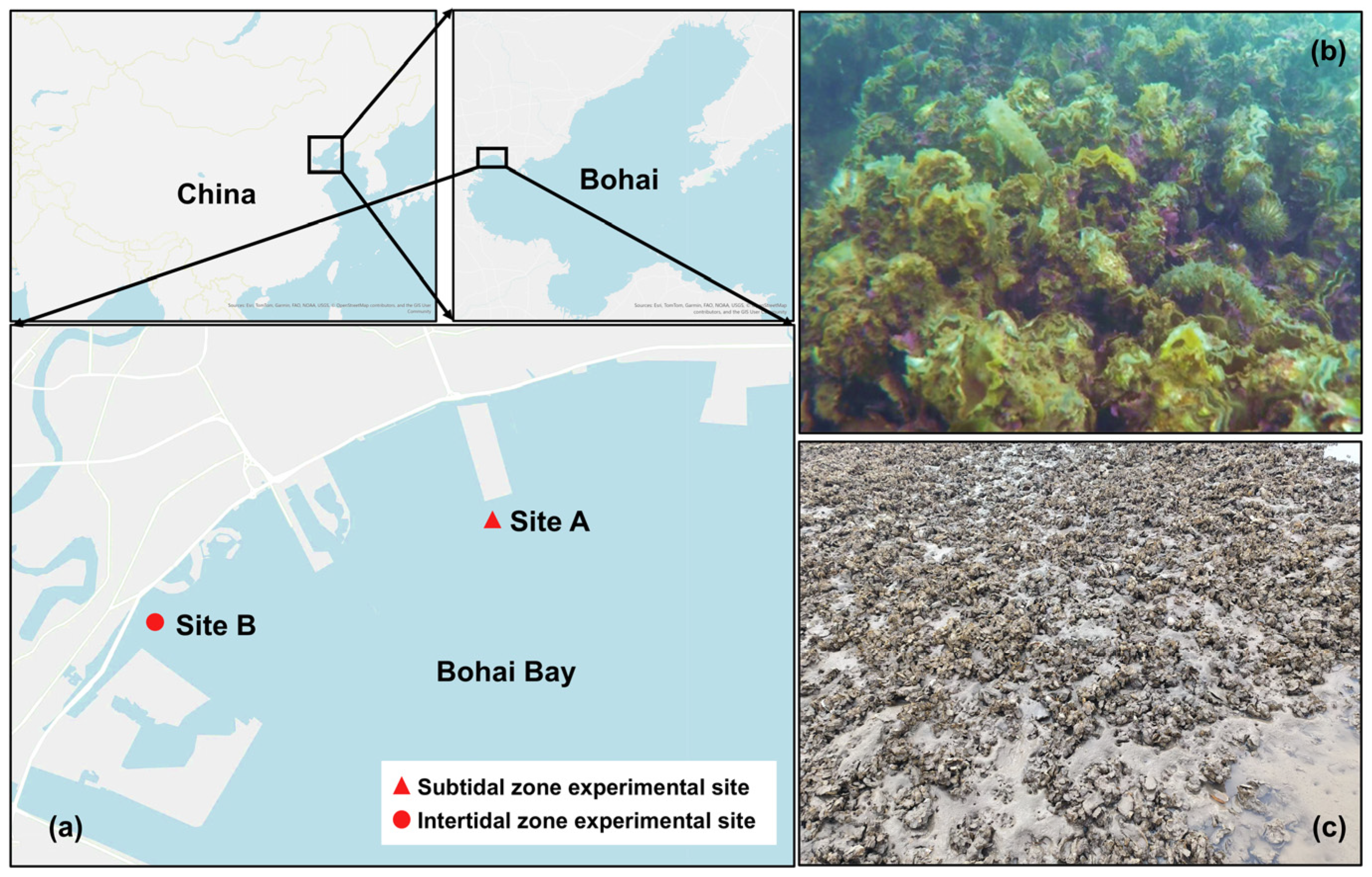 Oceans 06 00020 g001